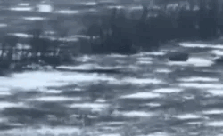 Russische Panzer vor Wuhledar.