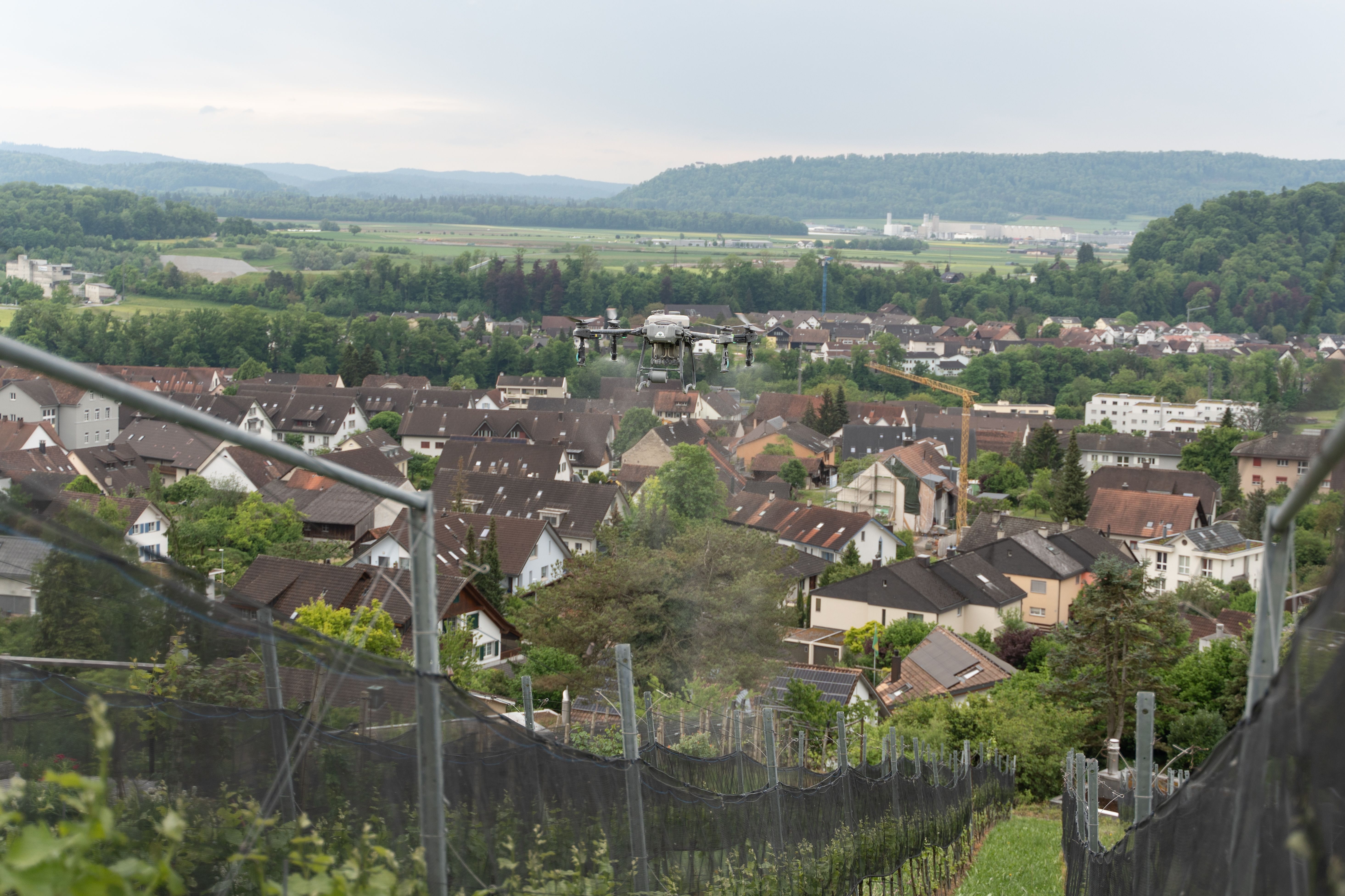 Gemeinde-plant-Investitionen-in-Rebberg-Strom-und-Abwasser-ein-dringend-n-tiges-Projekt-fehlt-jedoch