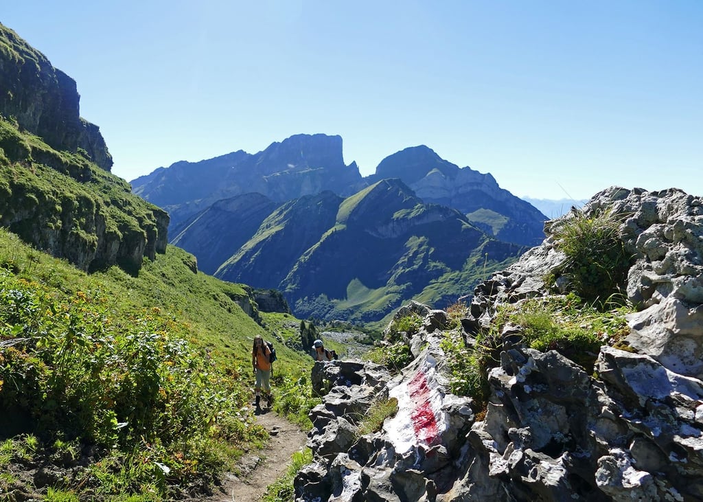 «Wir blieben bislang von Rambazamba verschont», sagt der CEO der Bergbahnen Wildhaus – so will er ohne alpines Disneyland den Sommertourismus stärken