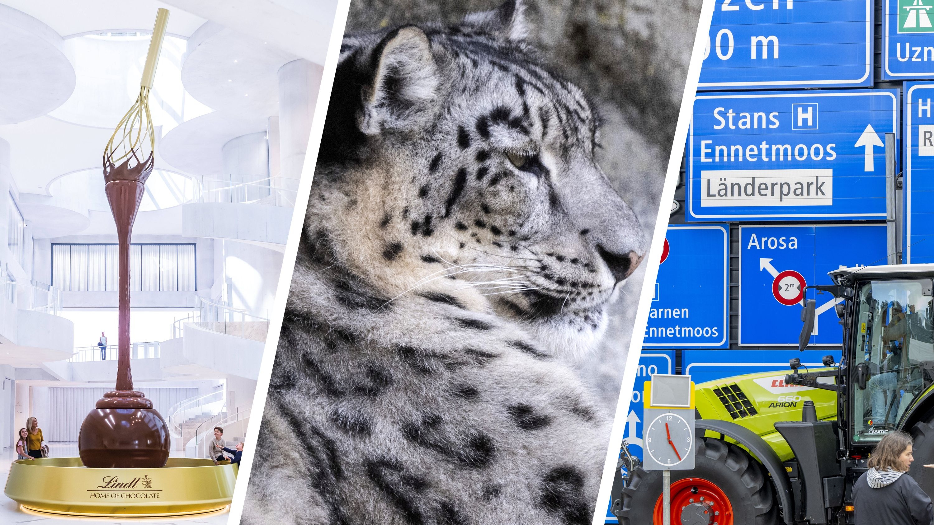 Schokoladenmuseum-Verkehrshaus-und-Zoo-Das-sind-die-beliebtesten-Freizeit-Ziele-der-Schweiz