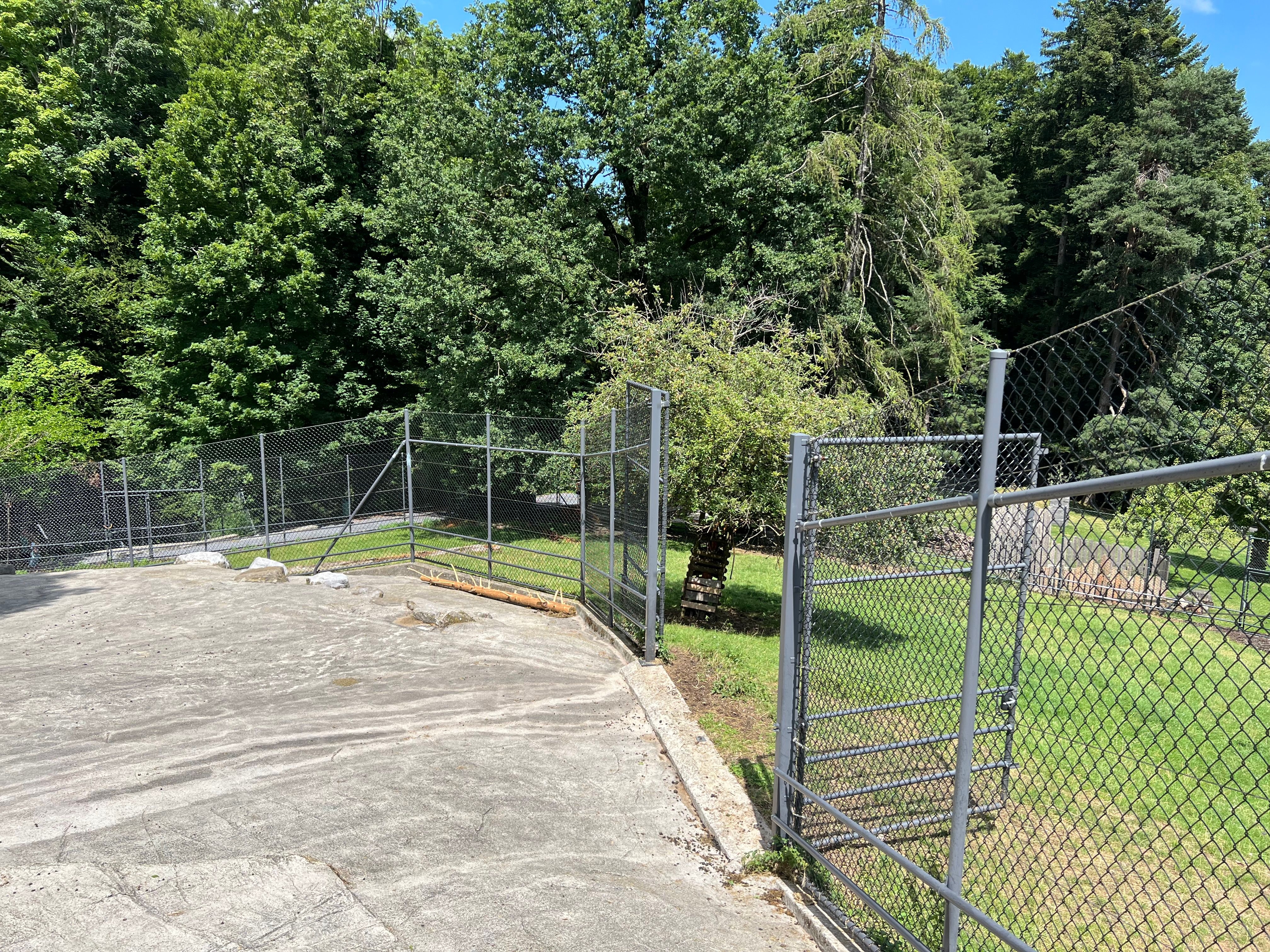 Doppelt-so-gross-wie-vorgeschrieben-Die-Steinb-cke-im-Wildpark-Peter-und-Paul-bekommen-mehr-Auslauf