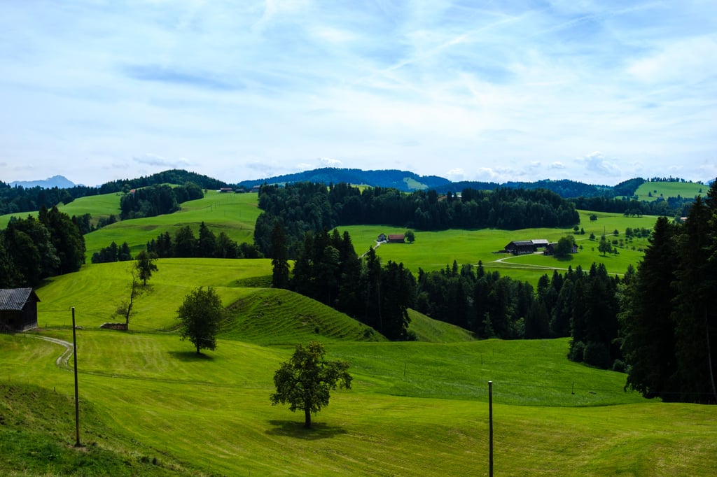 Landschaften voller Schmetterlinge und eine Sicht bis auf den Säntis: Der Sommer im Neckertal