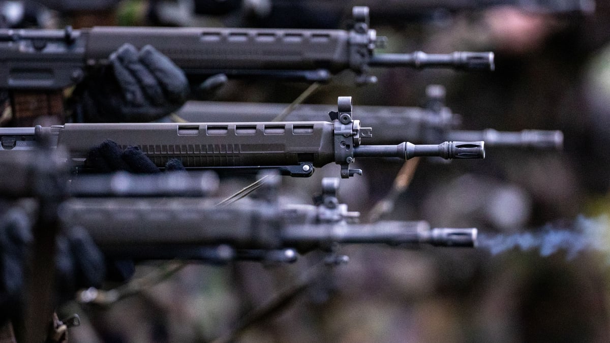 Federal Council: Confiscation of old assault rifles from private ...