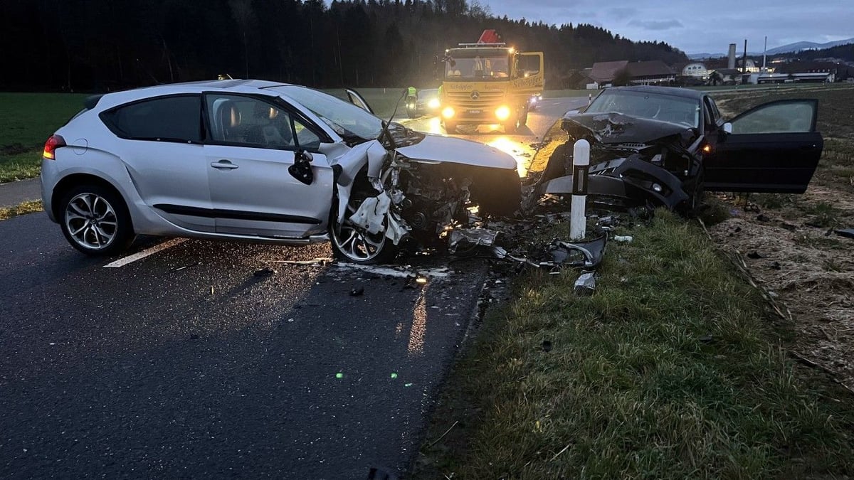 Brittnau: Junglenker verurteilt nach Audi-Unfall