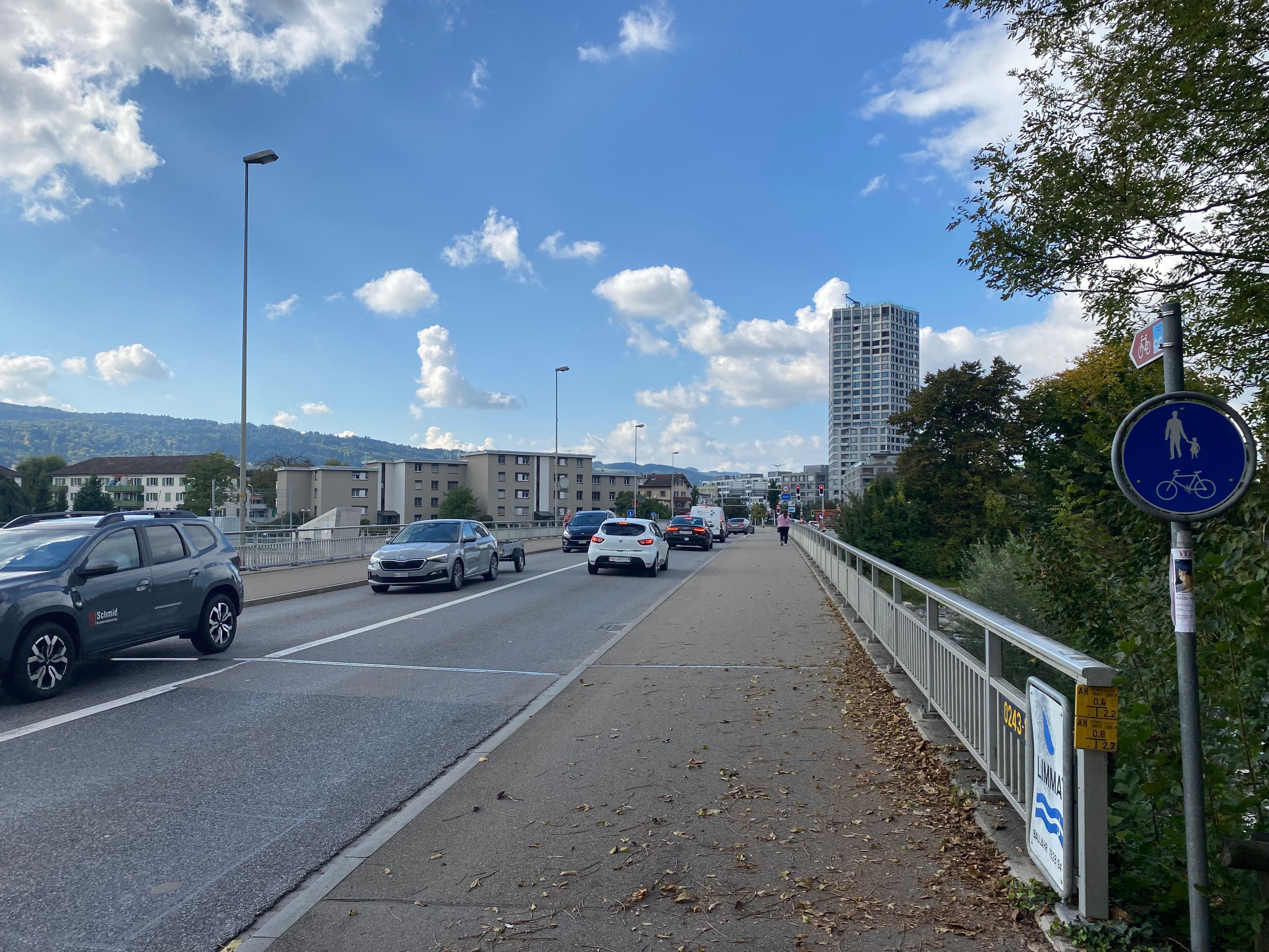 Vorarbeiten-f-r-Umfahrung-starten-Ab-n-chster-Woche-werden-B-ume-gef-llt