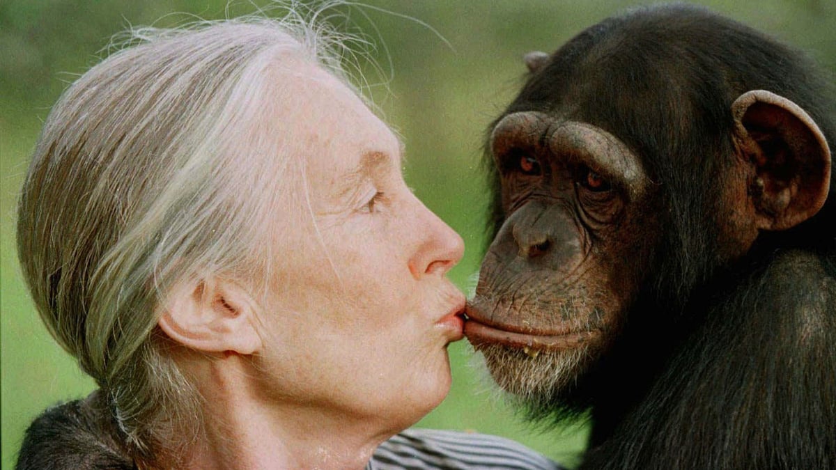 Chimpanzee researcher Jane Goodall has died
