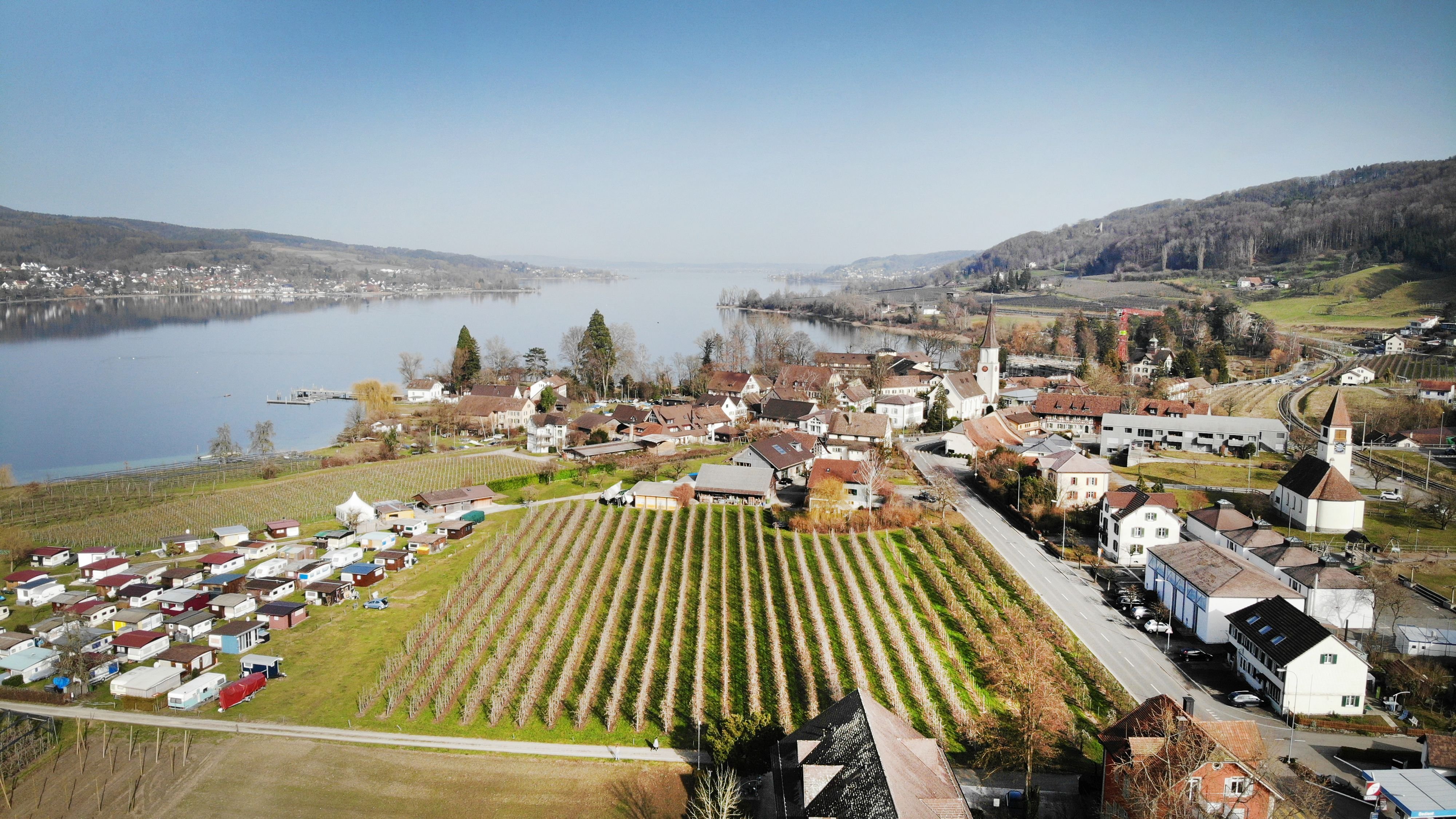 Erwartungen-an-Projektgegner-Mammern-will-sich-trotz-Nein-an-der-Urne-zur-neuen-Schule-weiter-f-r-Schulkinder-einsetzen