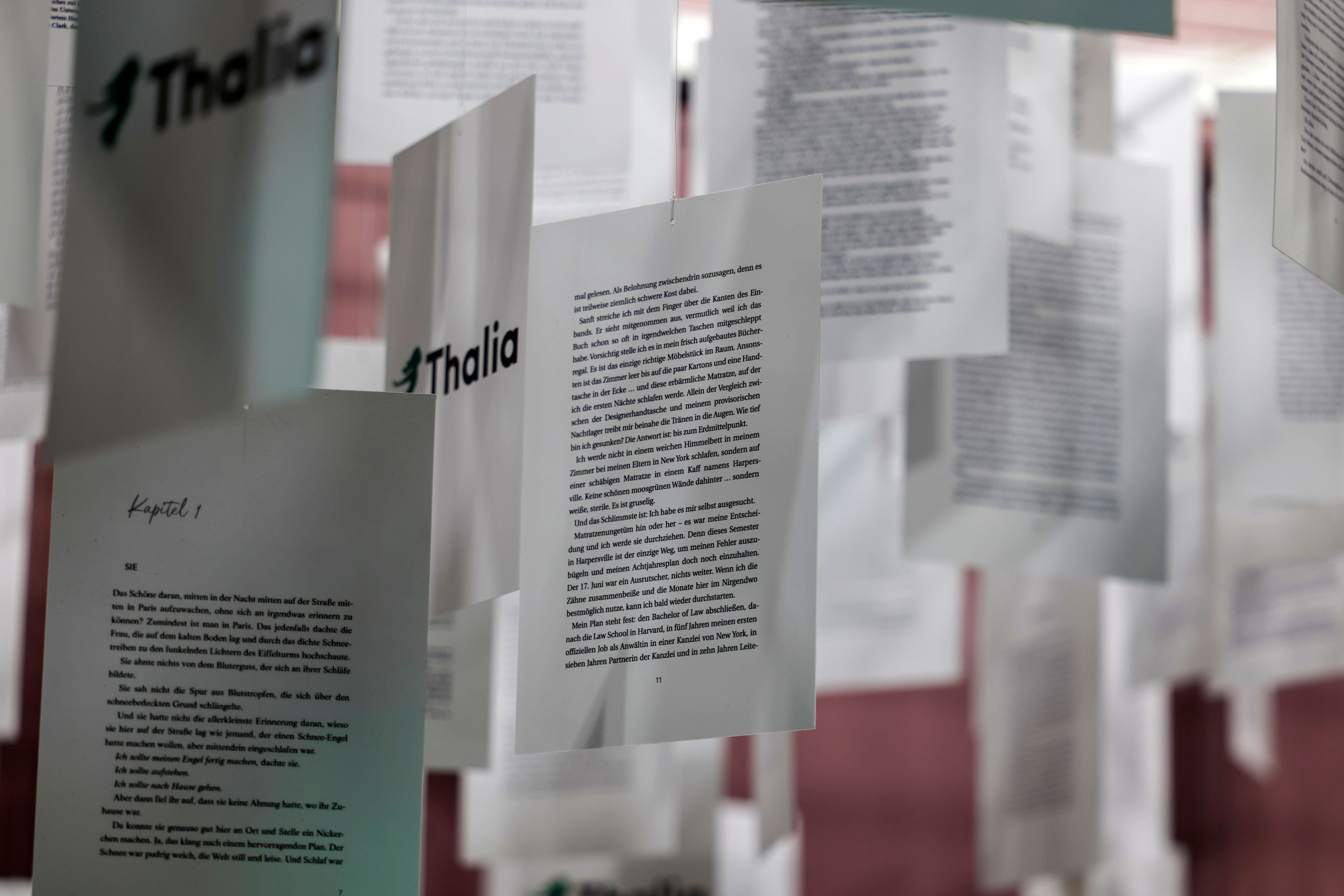 Ch-l-und-Chabis-Wieso-Z-rcher-und-Glarner-oft-lieber-ein-anderes-Wort-f-r-das-Kraut-verwenden