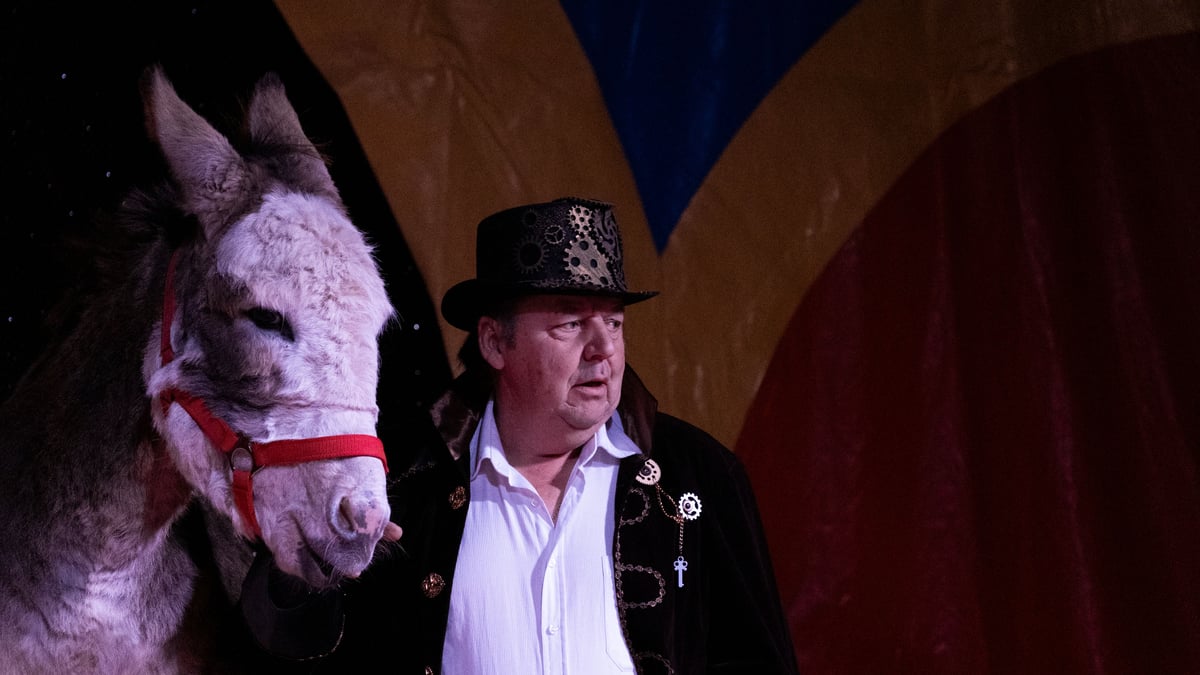 Circus Busch-Roland: Beat Breu discontinues circus project