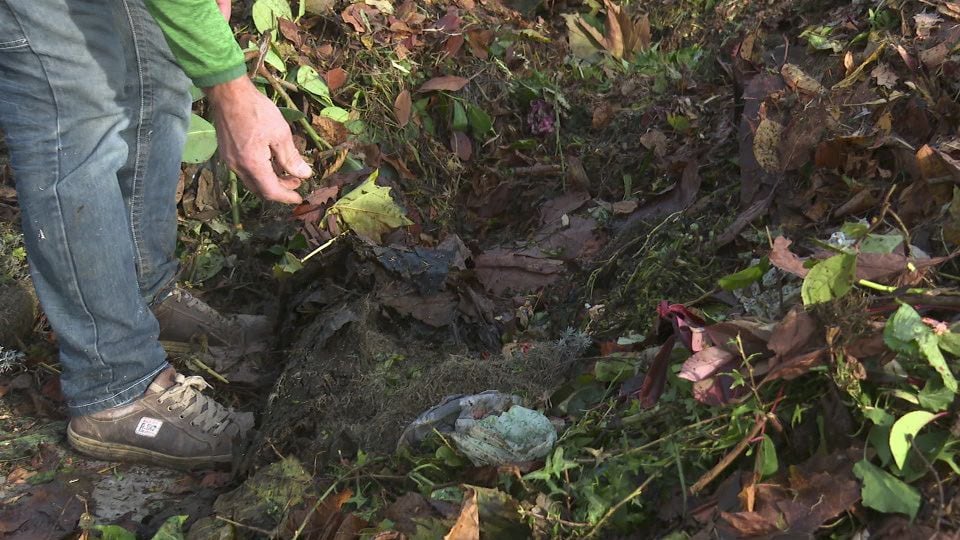 Abfall-statt-Gr-ngut-Romanshorn-k-mpft-mit-M-ll-in-der-Gr-ntonne