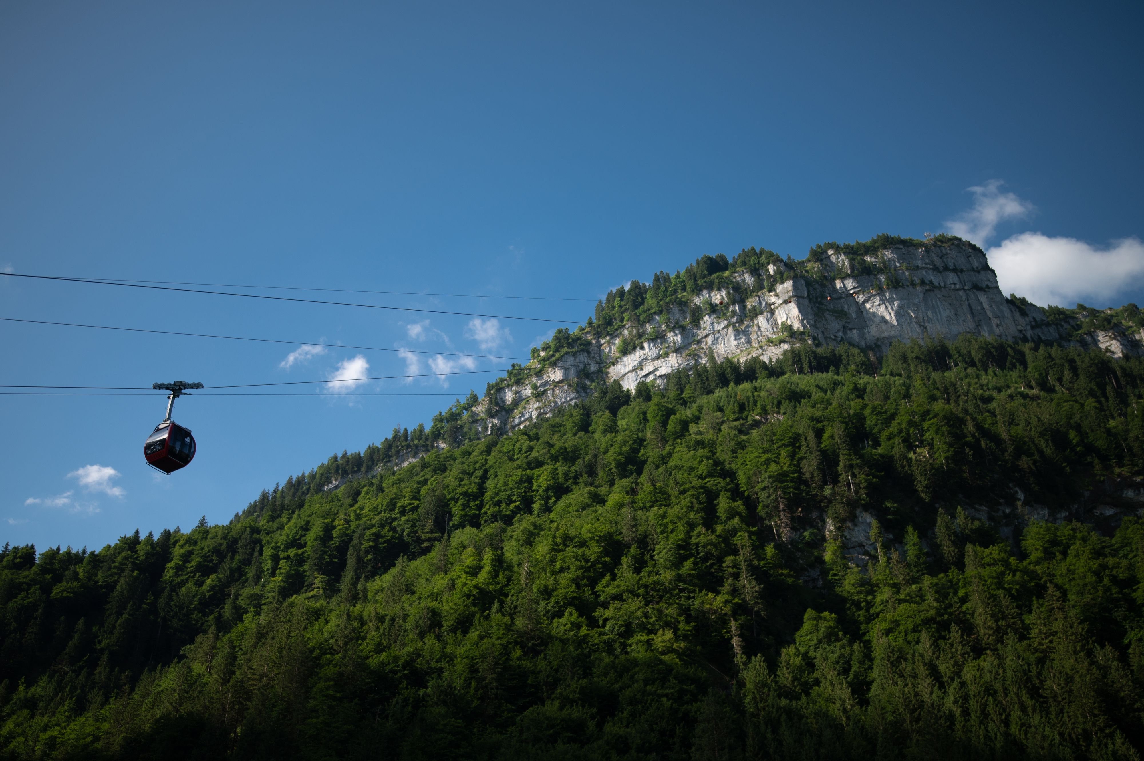 Felssturz-unterhalb-der-Alp-Sigel-bisher-keine-Sch-den-oder-Verletzte