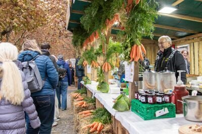 Vom-R-eblim-rt-in-die-K-che-So-verarbeiten-die-Besuchenden-ihre-Karotten