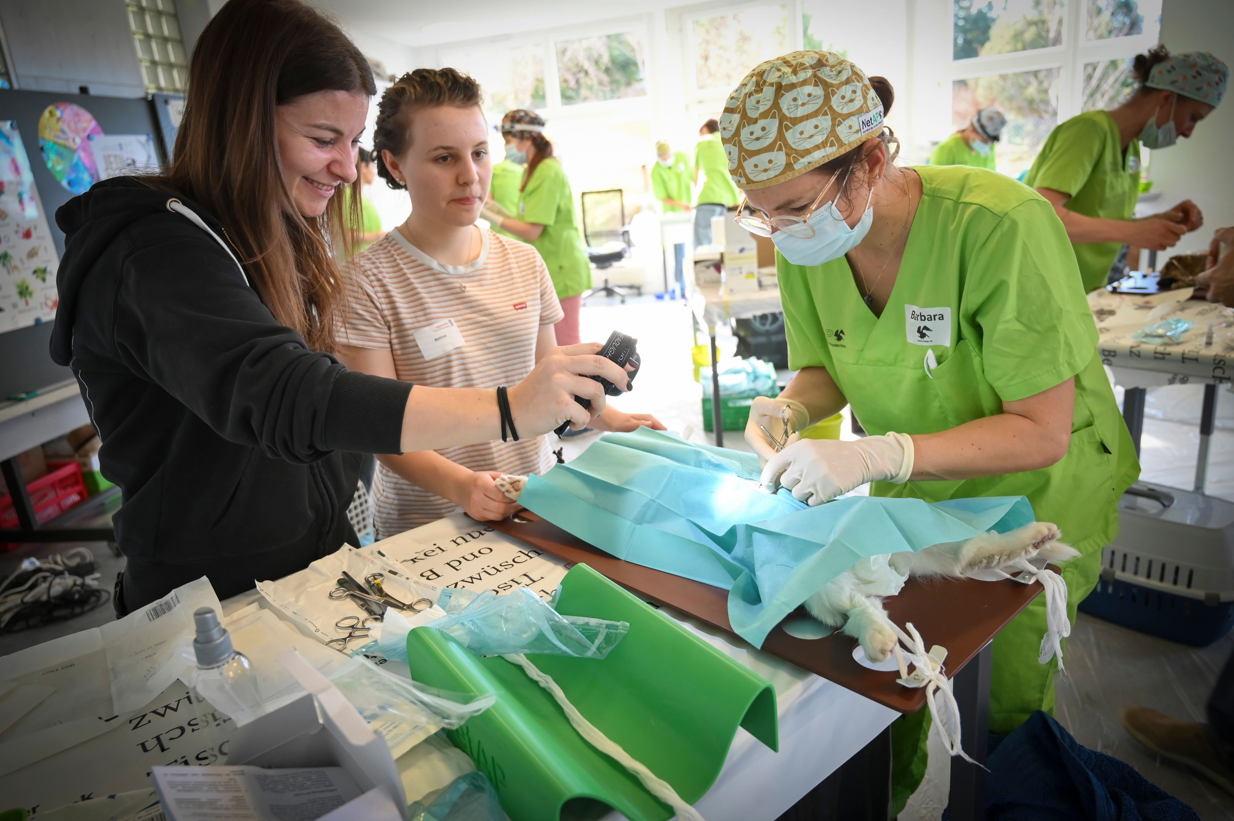 Erster-Appenzeller-Kastrationstag-in-Stein-Dieser-Tag-ver-ndert-viele-Katzenleben-zum-Besseren-