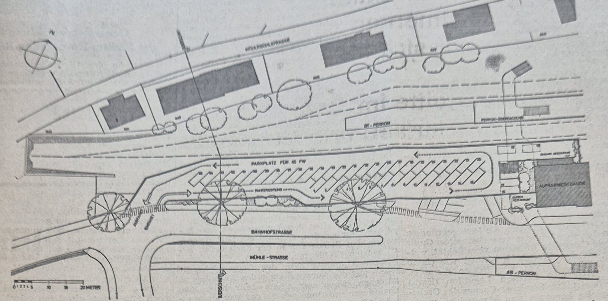 L-wenbabys-in-Herisau-Streit-um-Parkpl-tze-und-Abschaffung-der-Zweiklassengesellschaft