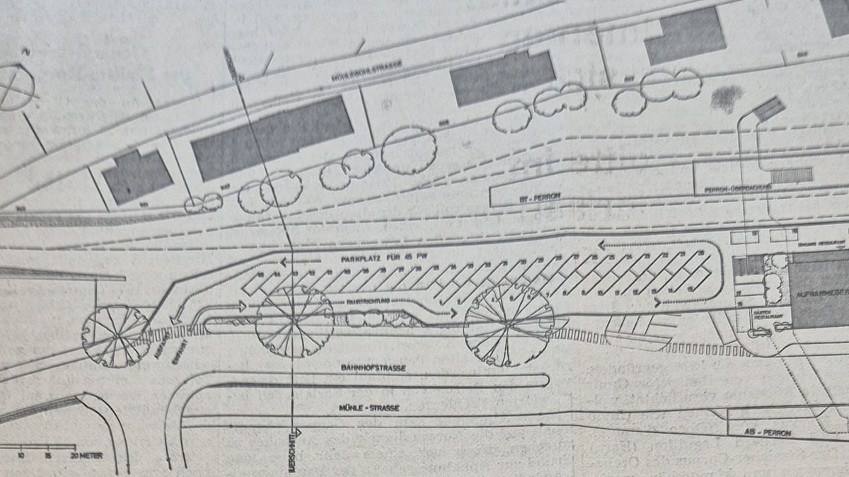 Lion cubs in Herisau, dispute over parking spaces and the abolition of the ...
