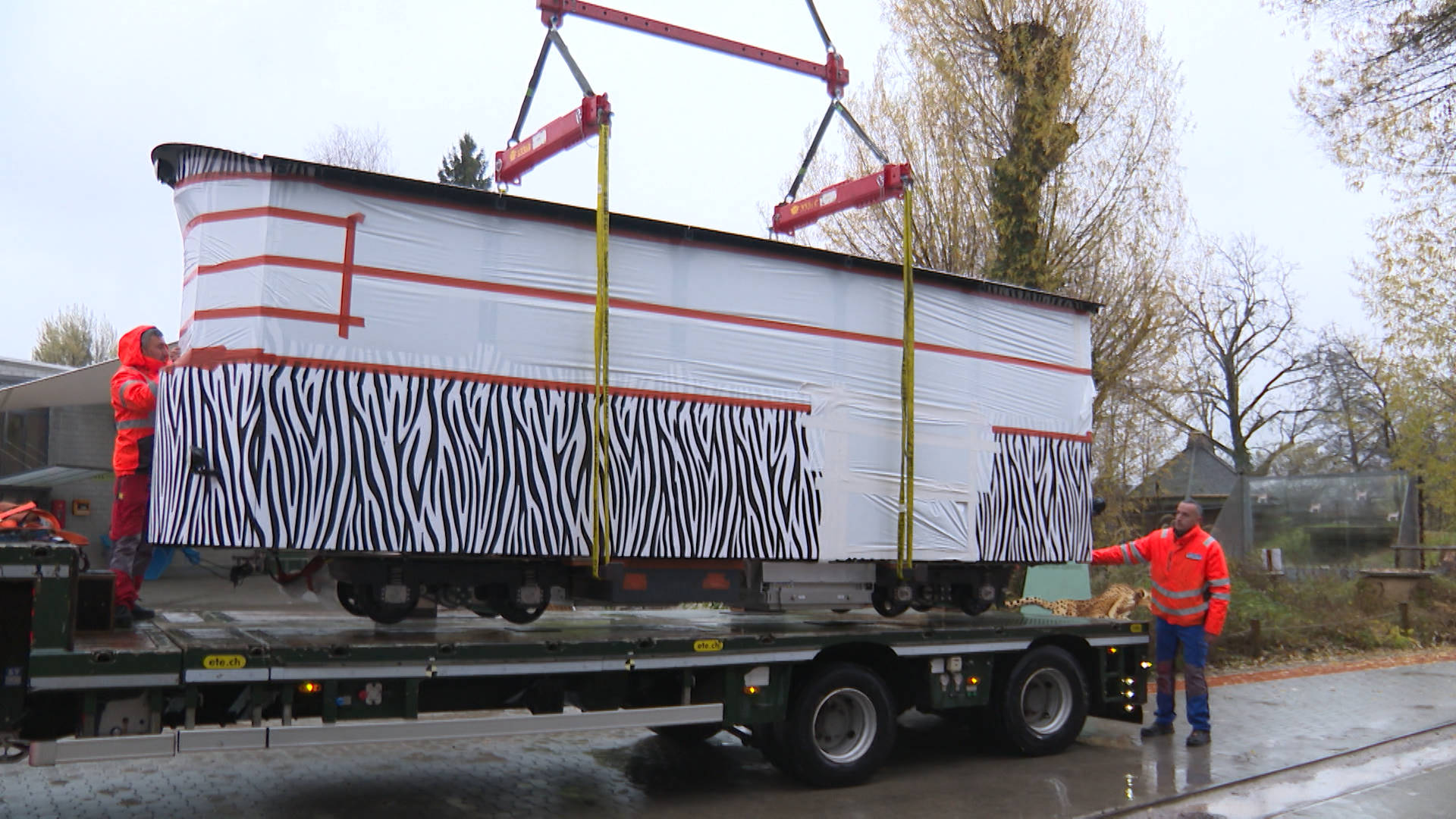 Horse-drawn tram successor: New electric tram arrives at Knie's ...