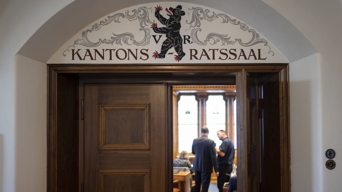 Yes to a total revision – but not a word about voting rights for ...