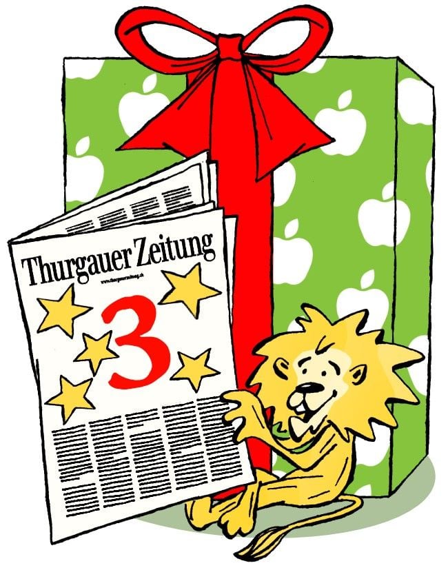 TZ Advent Calendar: Raccoon and Turtles in Frauenfeld