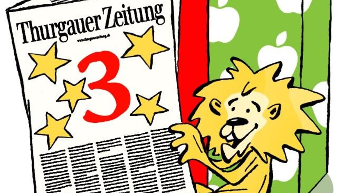 TZ Advent Calendar: Raccoon and Turtles in Frauenfeld