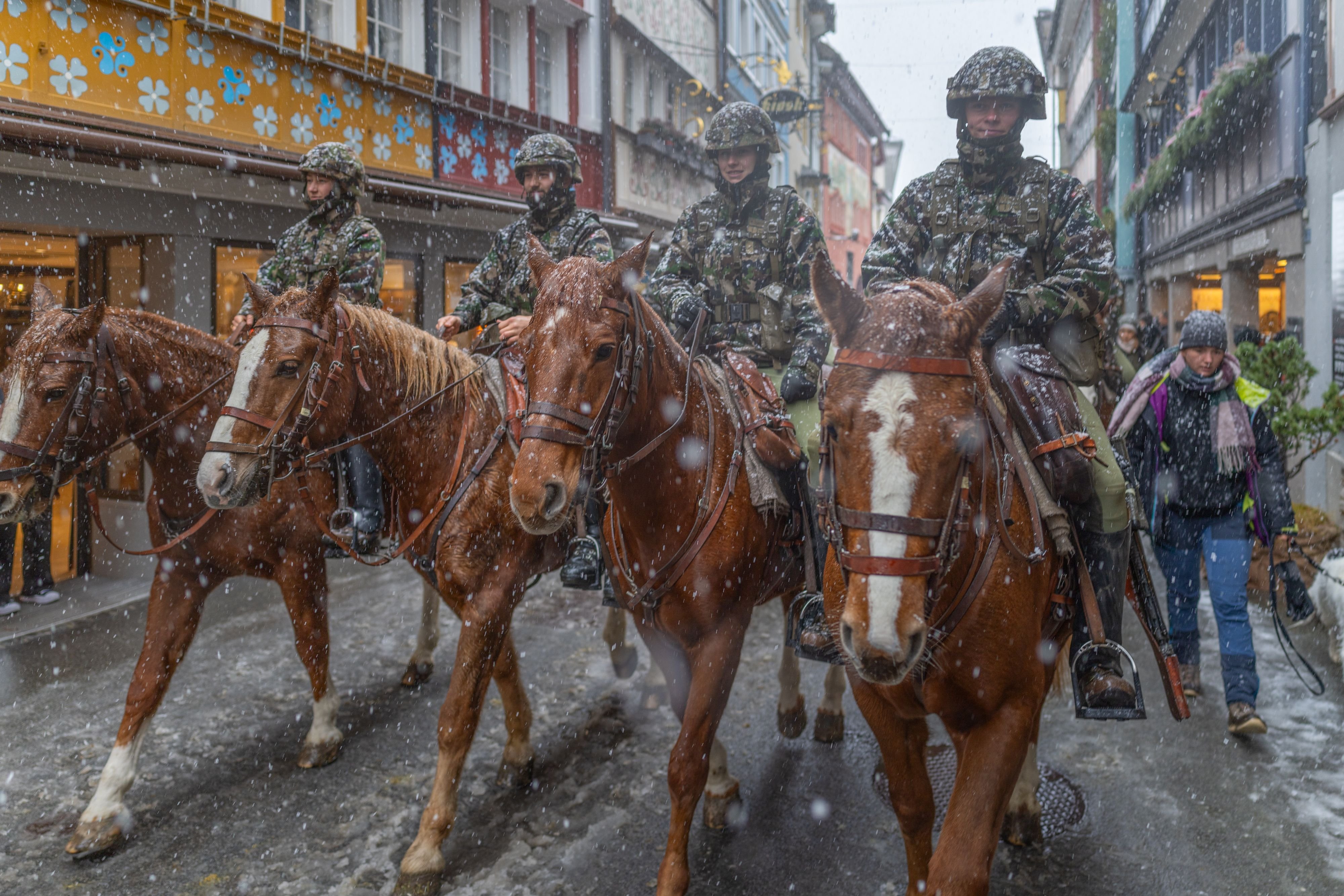 Military spectacle in Appenzell with horses and dogs