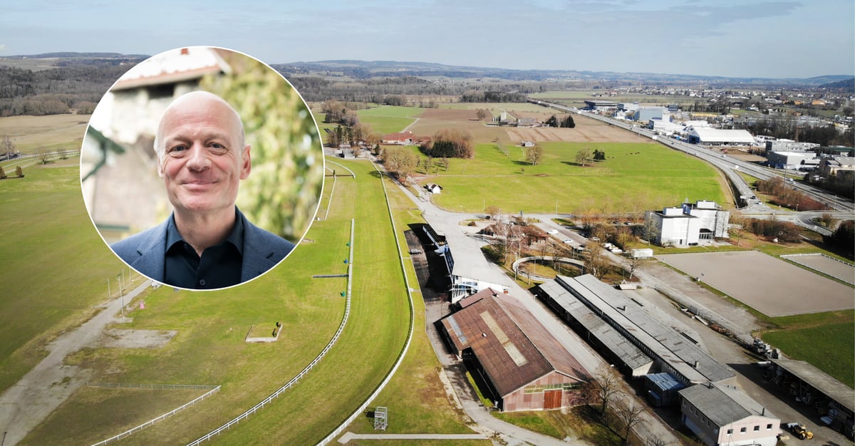 Kleine Allmend Frauenfeld: Concerns about the future of the sports ...