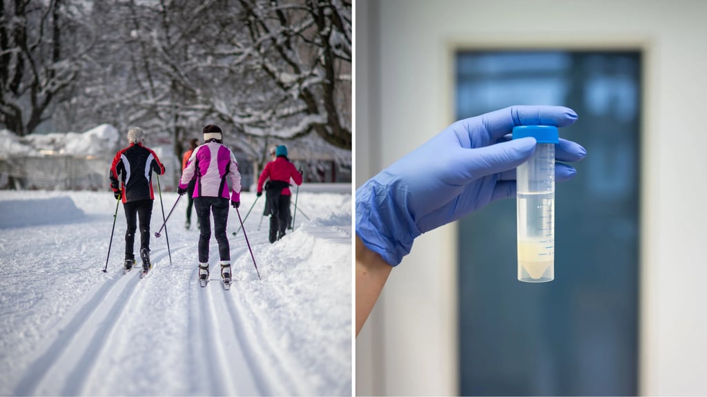 «Teufel durch Beelzebub ausgetrieben»: Altstätter Chemiker über Alternativen zu PFAS-Skiwachs