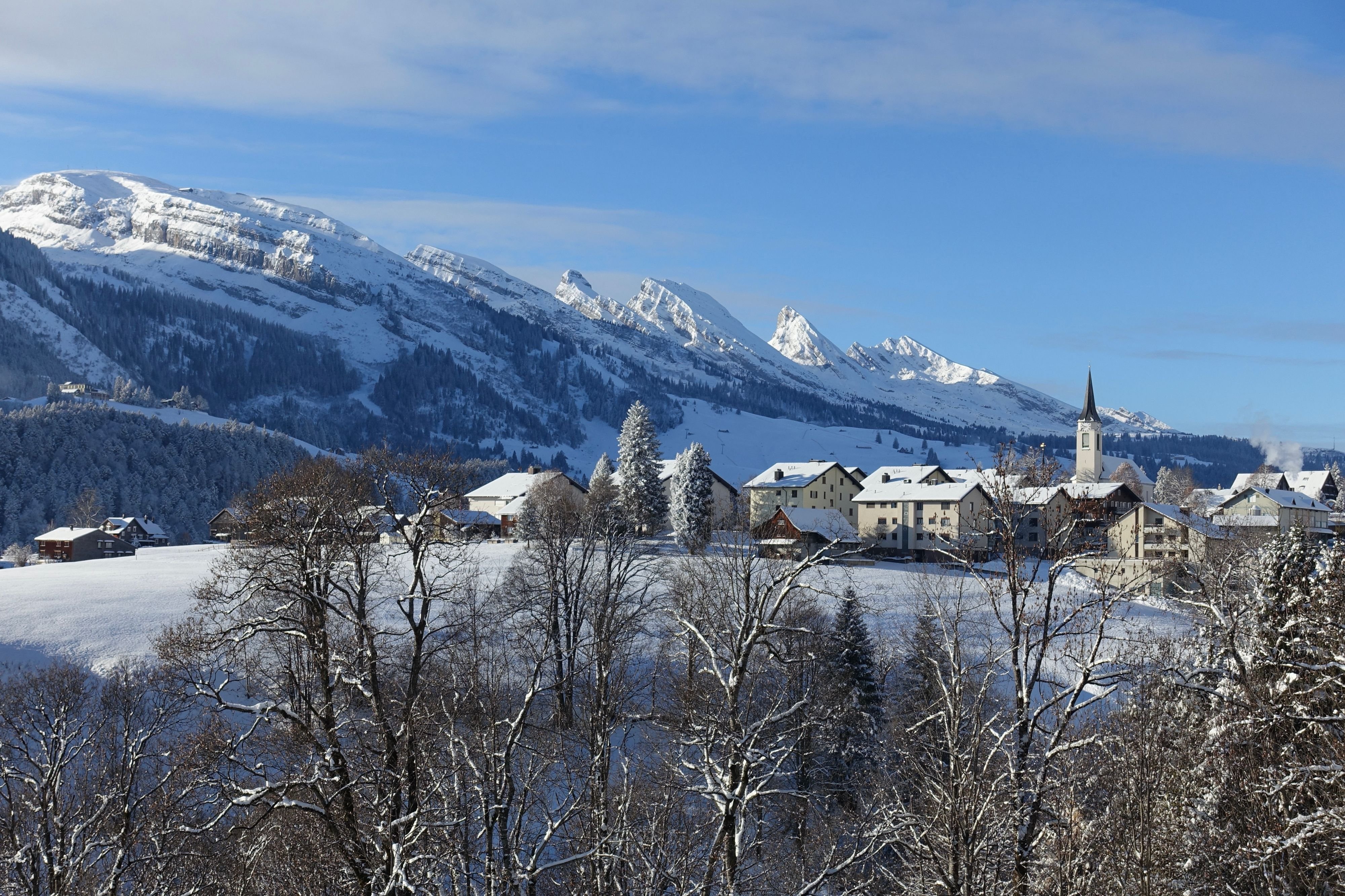 Mehr-Wohnraum-f-r-Wildhaus-Gemeinde-hat-drei-Grundst-cke-gekauft