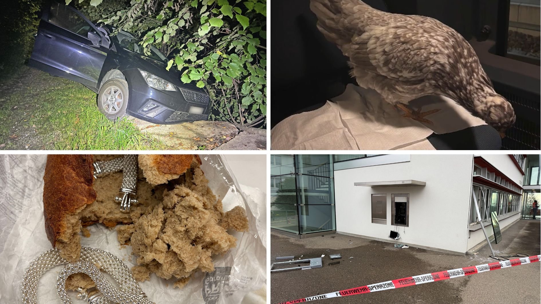 Explosionen-Schmuggel-und-H-hner-Abenteuer-Diese-kuriosen-F-lle-aus-der-Ostschweiz-treibt-die-Polizei-im-Jahr-2025-um