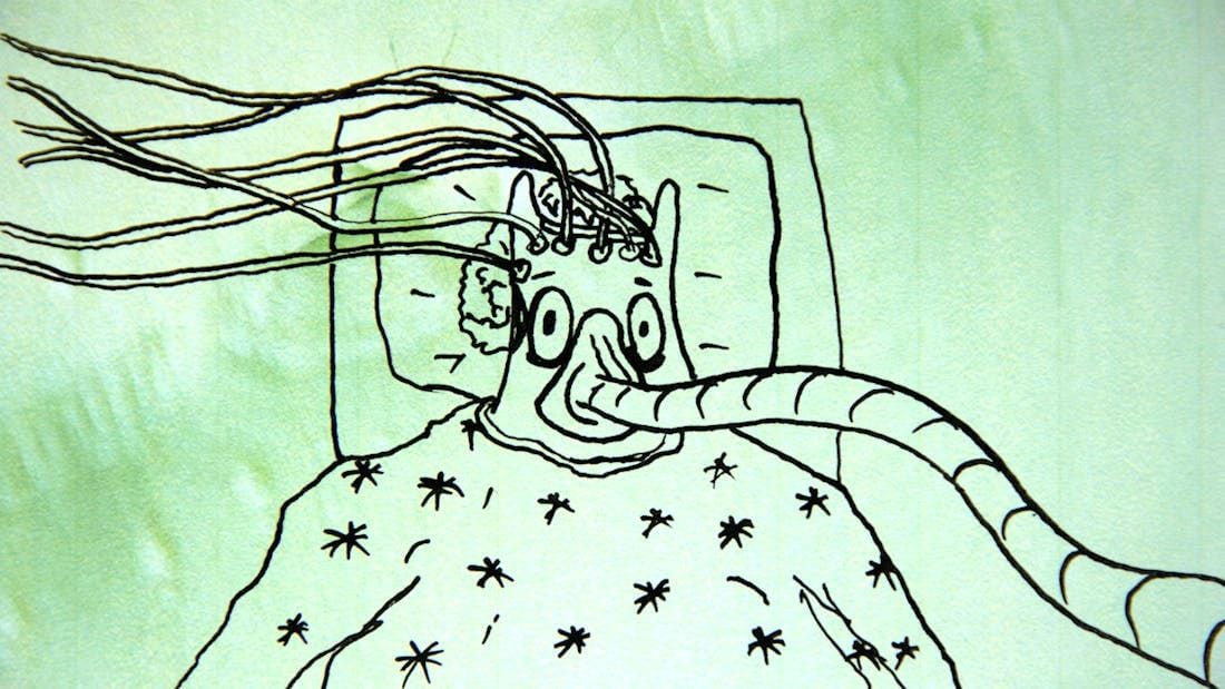 Von-Vogelfreundschaften-und-Elitestudenten-Diese-Ostschweizer-Filme-sind-in-Solothurn-zu-sehen