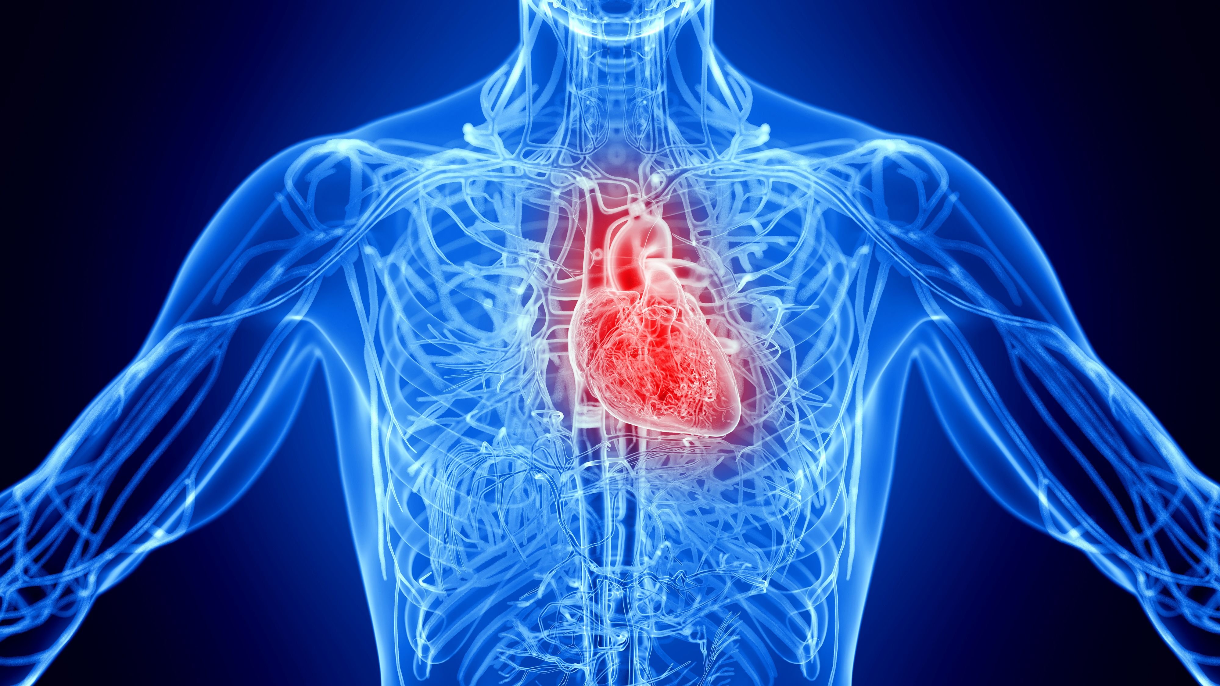 Myokarditis-nach-Covid-Impfung-US-Forscher-entdeckten-Mechanismus