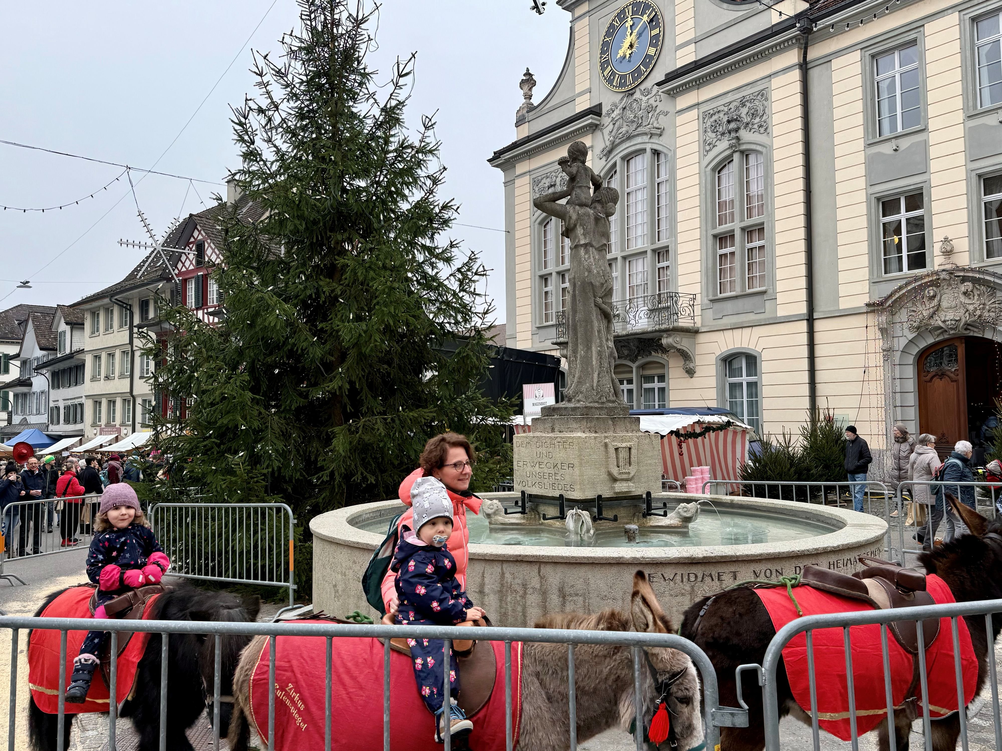 liebevolles-handwerk-soll-unter-die-leute-wie-die-beiden-st-dte-im-mittelthurgau-die-vorweihnachtszeit-zelebrieren