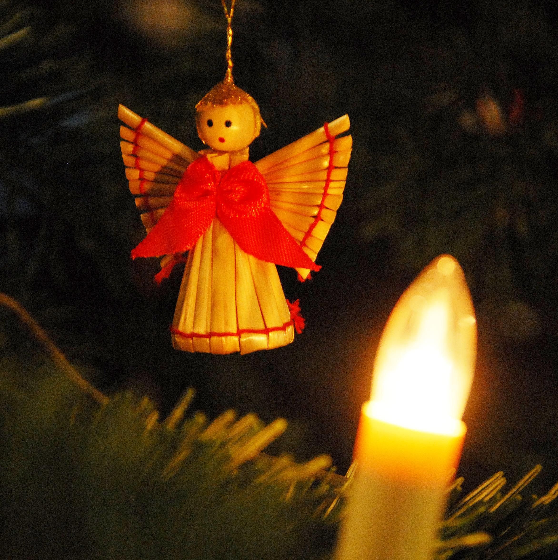 -F-rchtet-euch-nicht-Wie-ein-alter-Satz-pl-tzlich-aktuell-wird