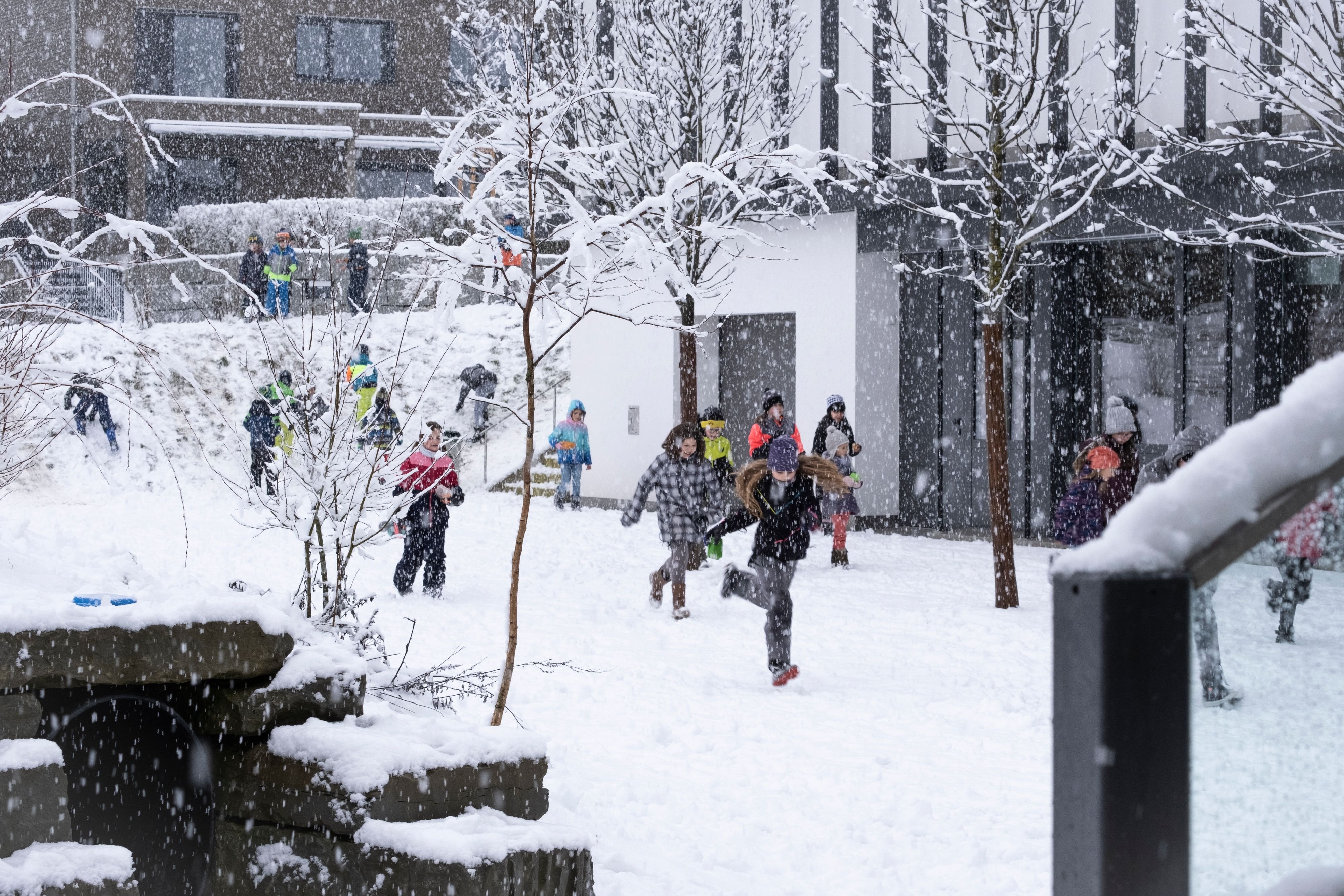 Stolperer-beim-ersten-Schritt-Die-Weinfelder-Schulfusion-scheint-eine-gute-Idee-aber-die-Karten-geh-ren-von-Beginn-weg-auf-den-Tisch