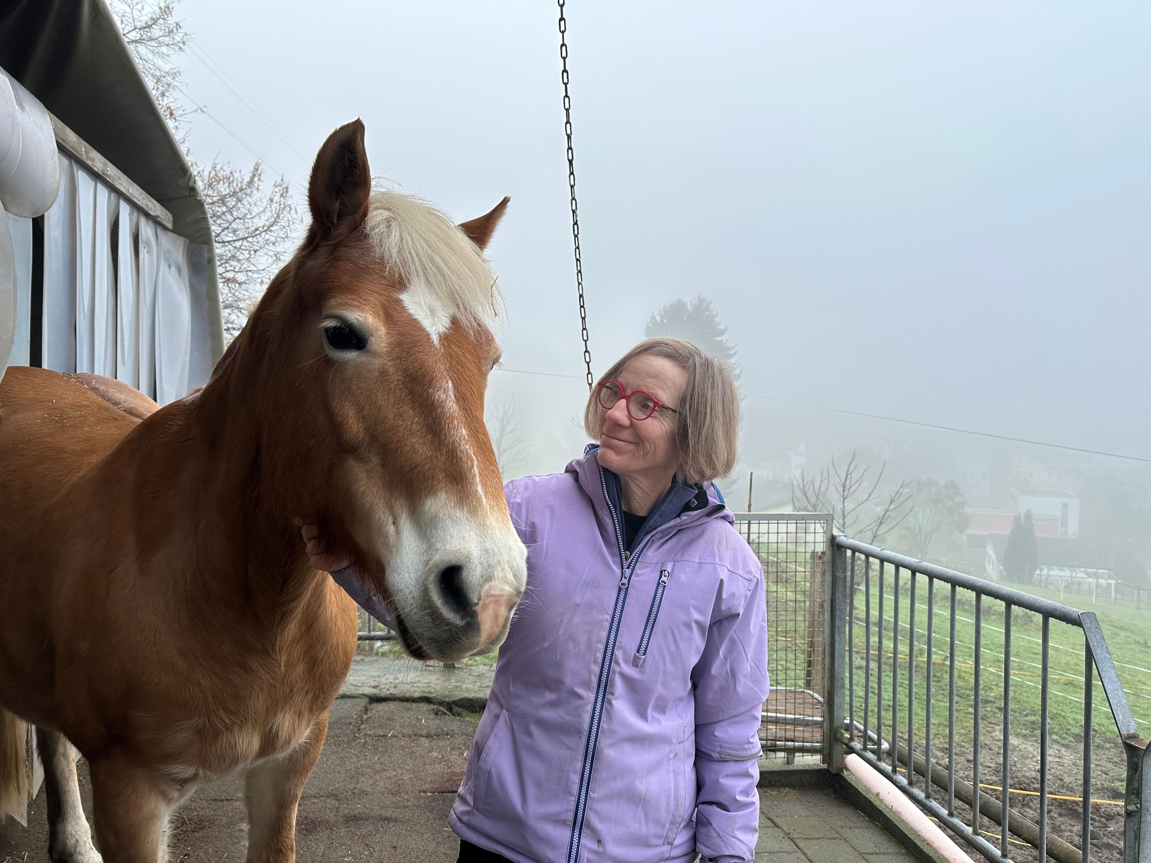 -Ein-Pferd-hat-keine-Vorurteile-Diese-Frau-ist-schwer-verunfallt-jetzt-therapiert-sie-auf-ihrem-Hof-in-Staad-Kinder