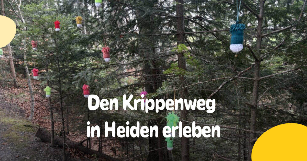 Zauberhafter-Weihnachtsspaziergang-f-r-die-ganze-Familie-in-Heiden