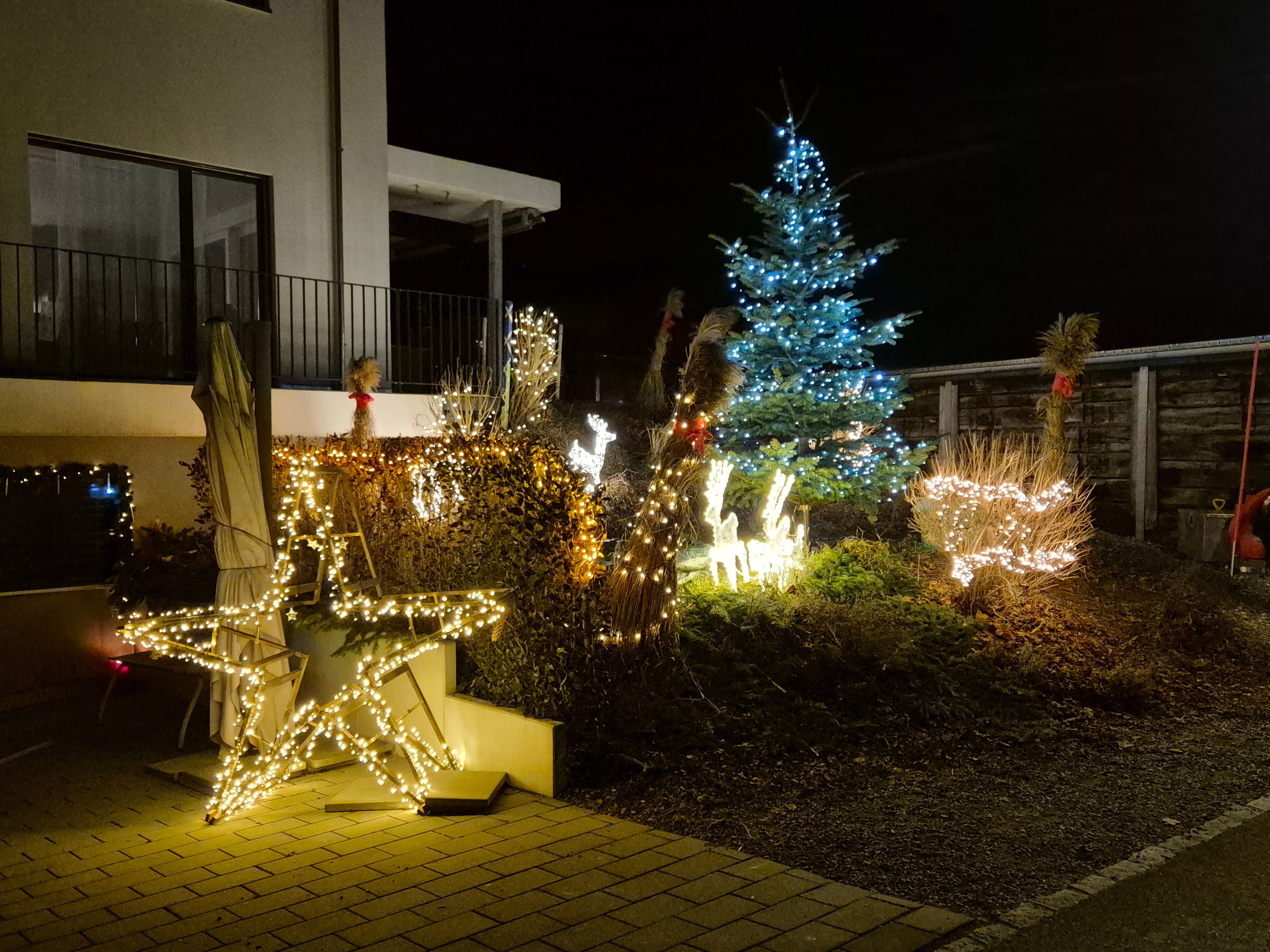 Weihnachtsb-ume-an-der-Strasse-z-hlen