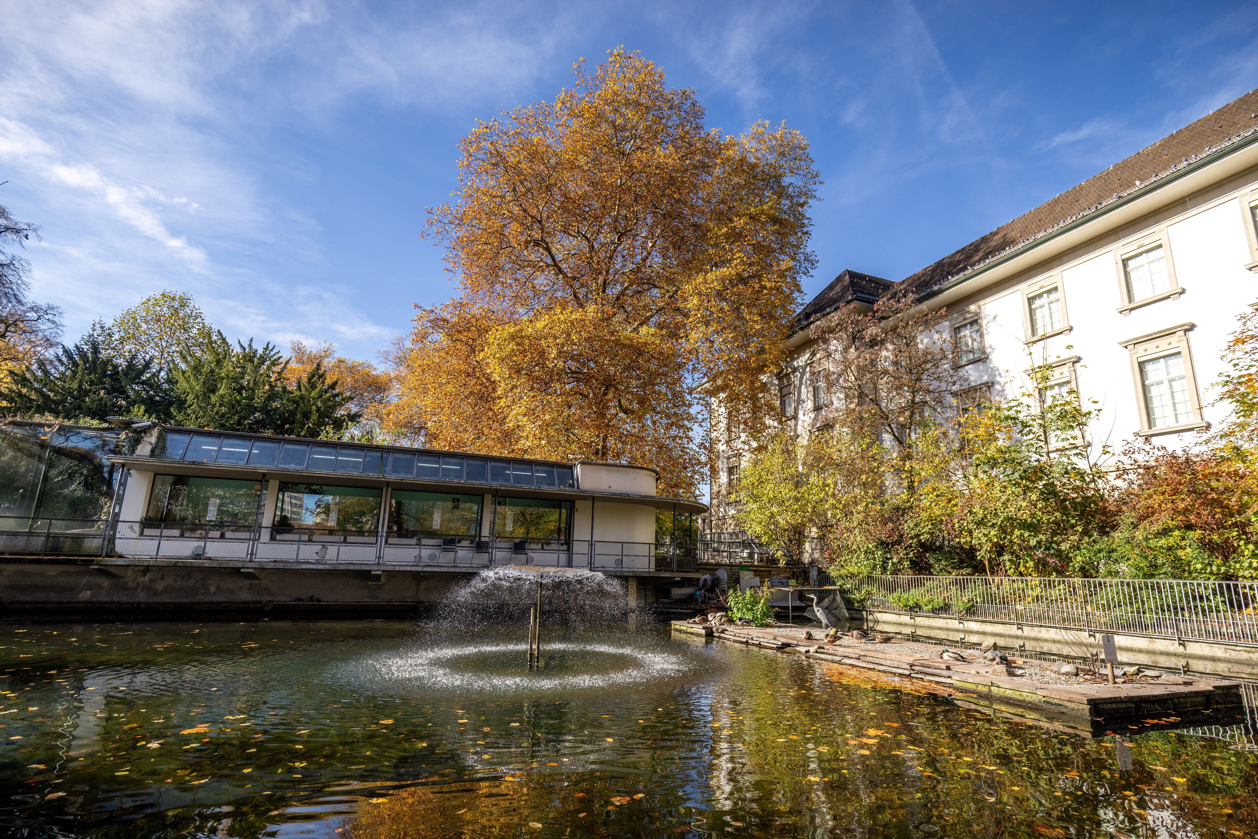 Zwischenstand-f-r-die-St-Galler-Voliere-Zw-lf-Kandidaten-in-der-engen-Auswahl