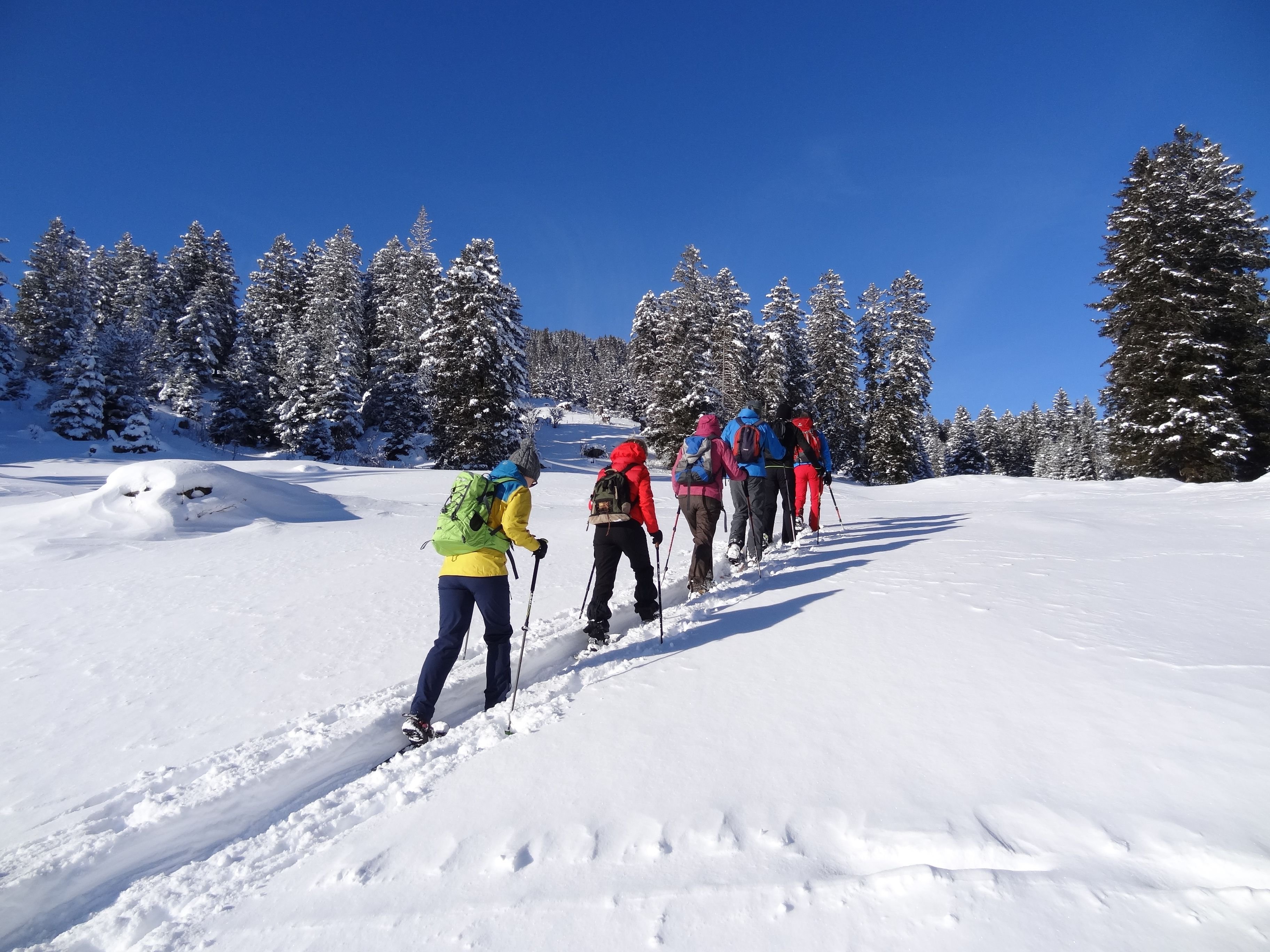 Mit-Profis-durchs-Toggenburg-Sechs-Wanderleiter-und-Bergf-hrer-erleichtern-mit-einer-Plattform-den-Zugang-zu-gef-hrten-Touren