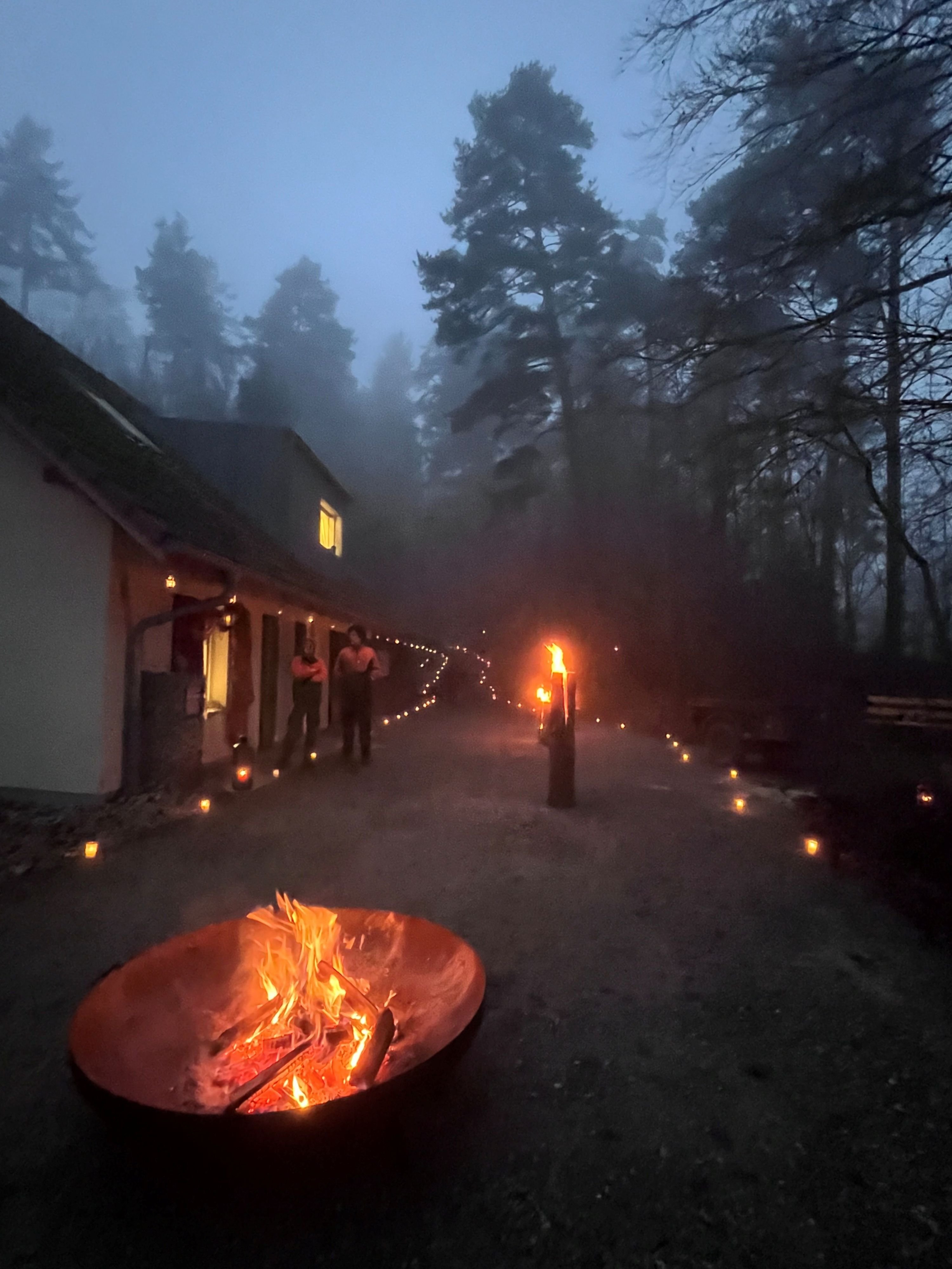 Der-Lengnauer-Wald-erstrahlte-einmal-mehr-in-mystischer-Beleuchtung