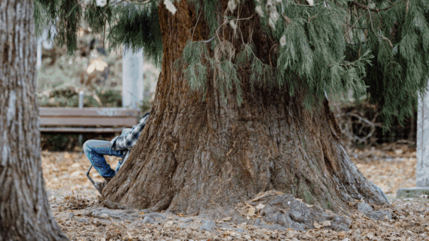 der-obdachlose-aus-st-gallen-die-ginkugel-aus-dem-bodensee-der-niedergang-der-br-lisauer-krone-7-emotionale-geschichten-aus-der-ostschweiz