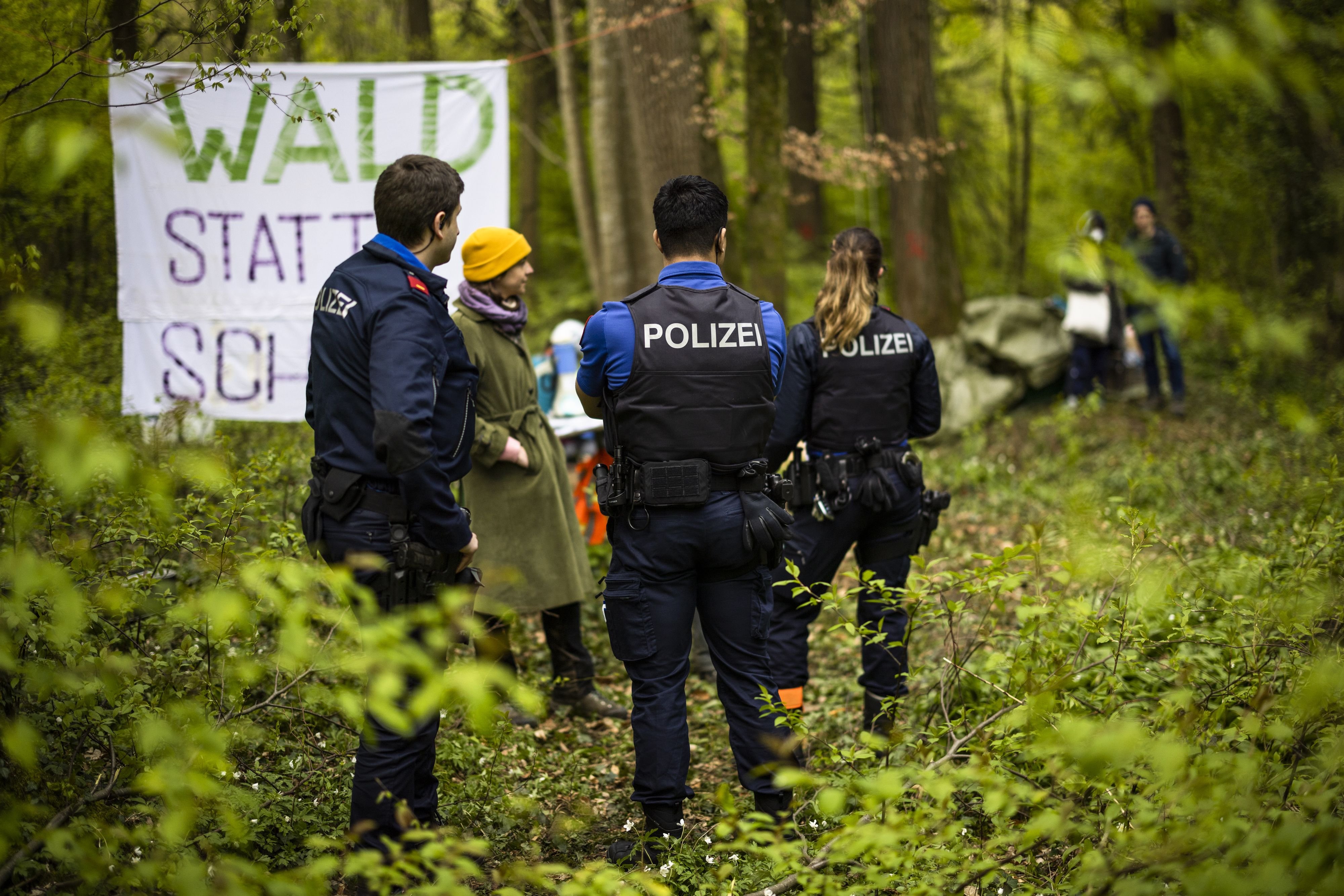 Polizei-wollte-Waldbesetzern-von-R-mlang-Kosten-berw-lzen-widerrechtlich-sagt-das-Gericht