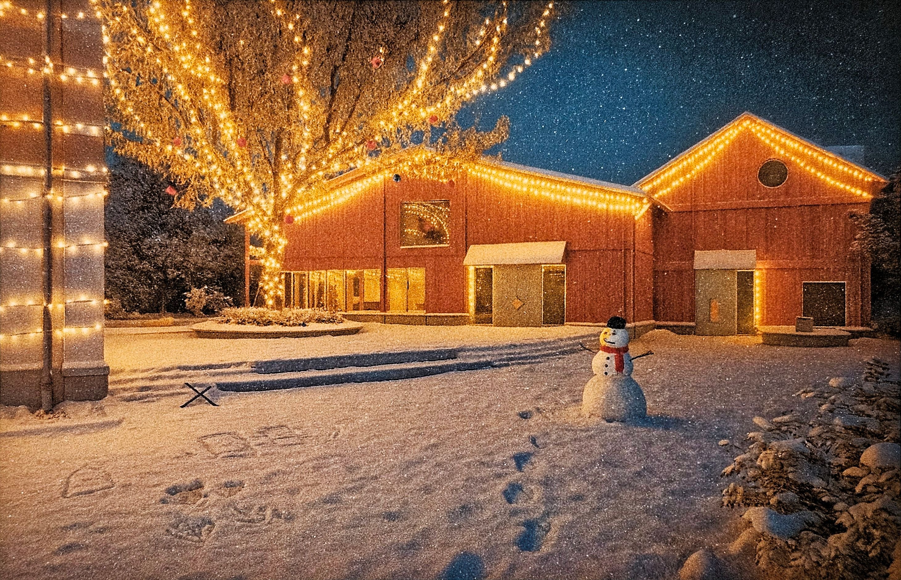 K-nnen-sich-die-unzertrennlichen-Tim-und-Struppi-auch-diesmal-aus-einer-brenzligen-Situation-retten-oder-sagen-Amriswils-Schulb-rger-zum-dritten-Mal-Nein-