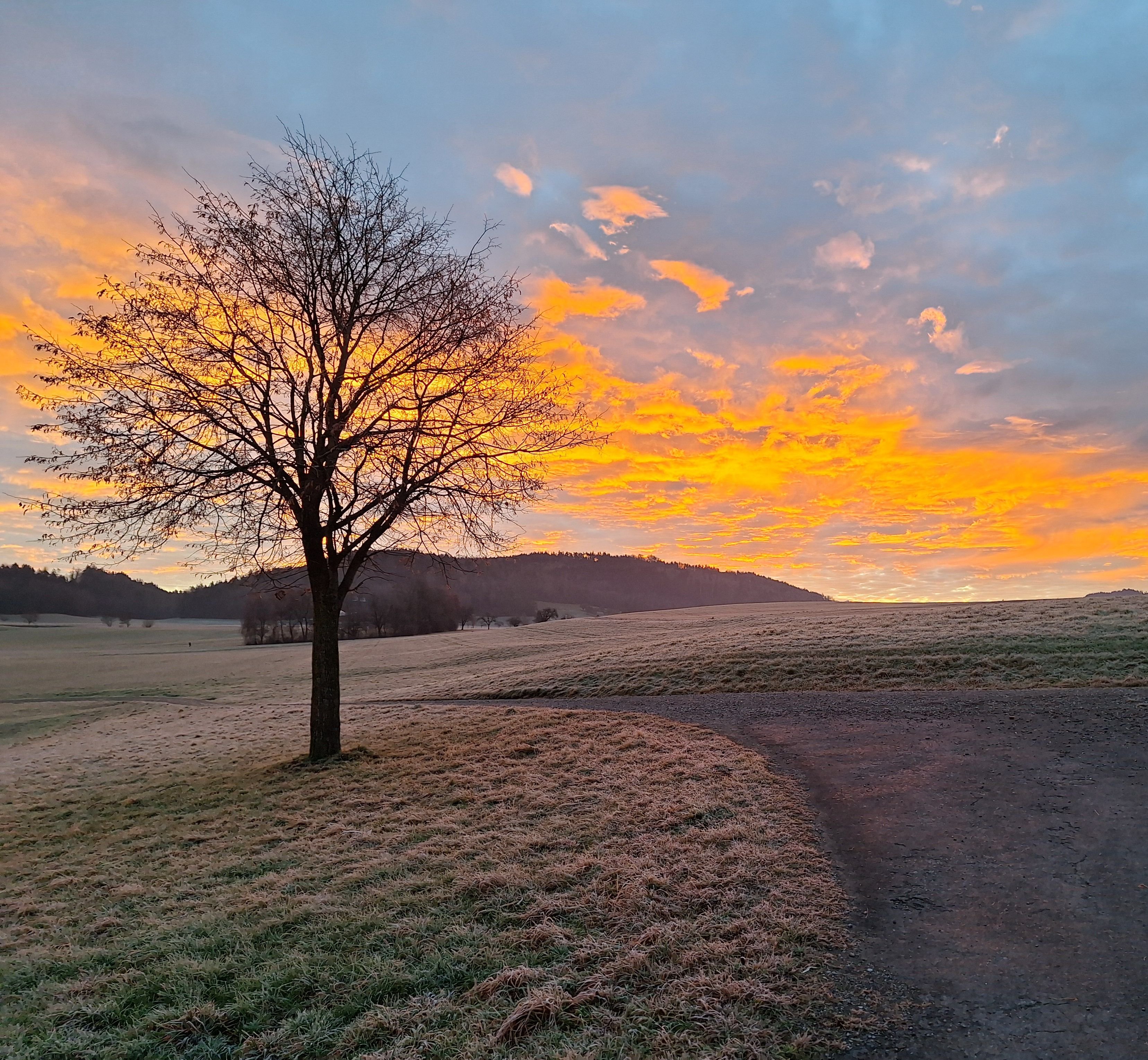 hier-lesen-sie-ltere-meldungen-aus-unserem-thurgau-ticker