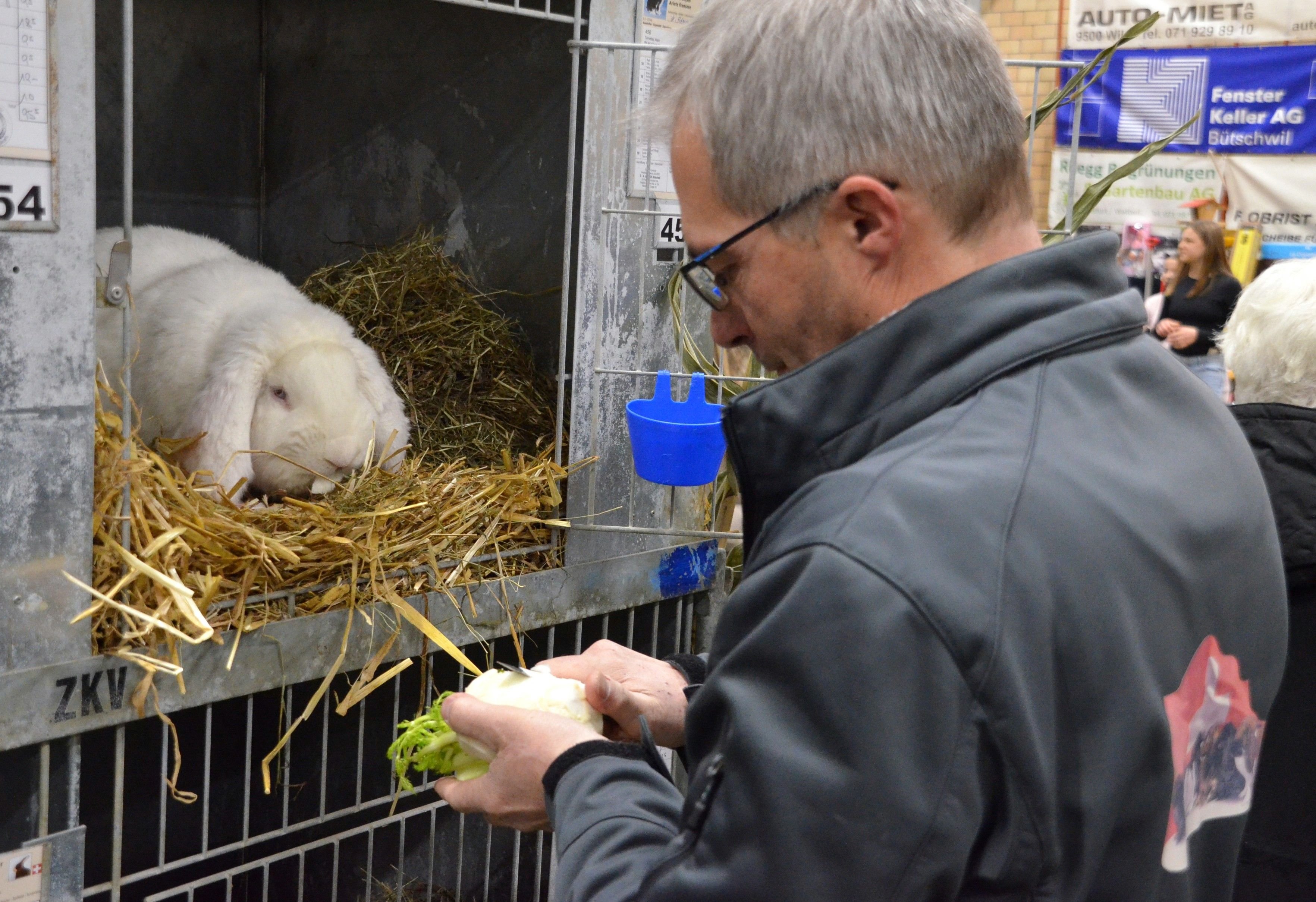 800-Kaninchen-und-zwei-Tier-rzte-Der-Kleintierz-chterverein-B-tschwil-stellt-einen-Grossanlass-auf-die-Beine