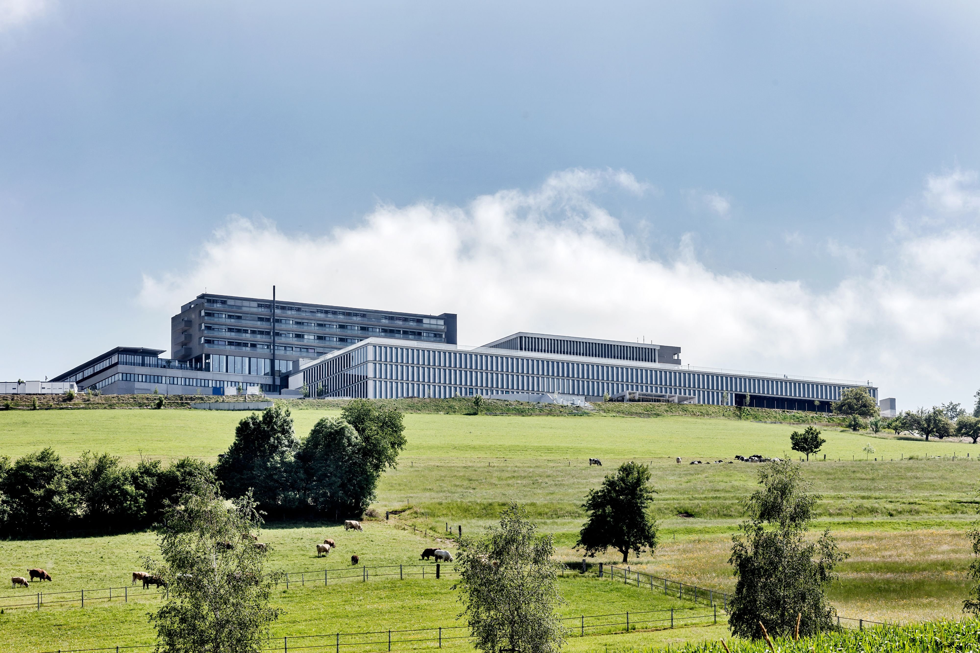 Rehaklinik-Bellikon-bereitet-sich-auf-Aufnahme-von-Brandopfern-vor-Kapazit-ten-werden-deutlich-erh-ht-