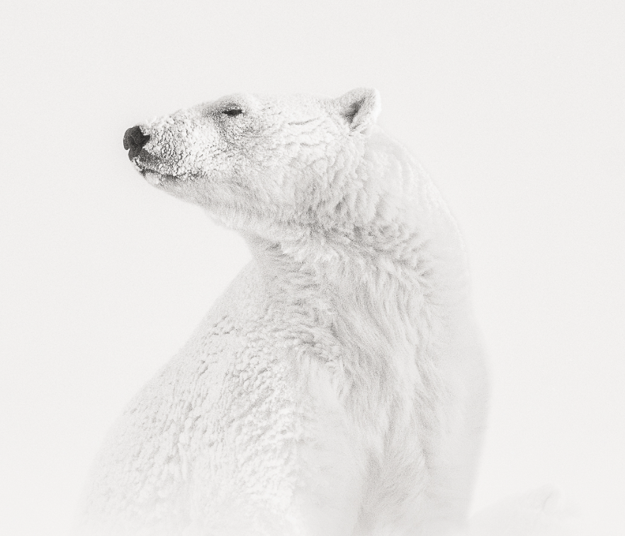 Marco-Ronconi-in-Konstanz-Feministische-Kunst-bei-der-St-Galler-St-Leonhardsbr-cke-Kunstfilme-im-St-Galler-Kinok