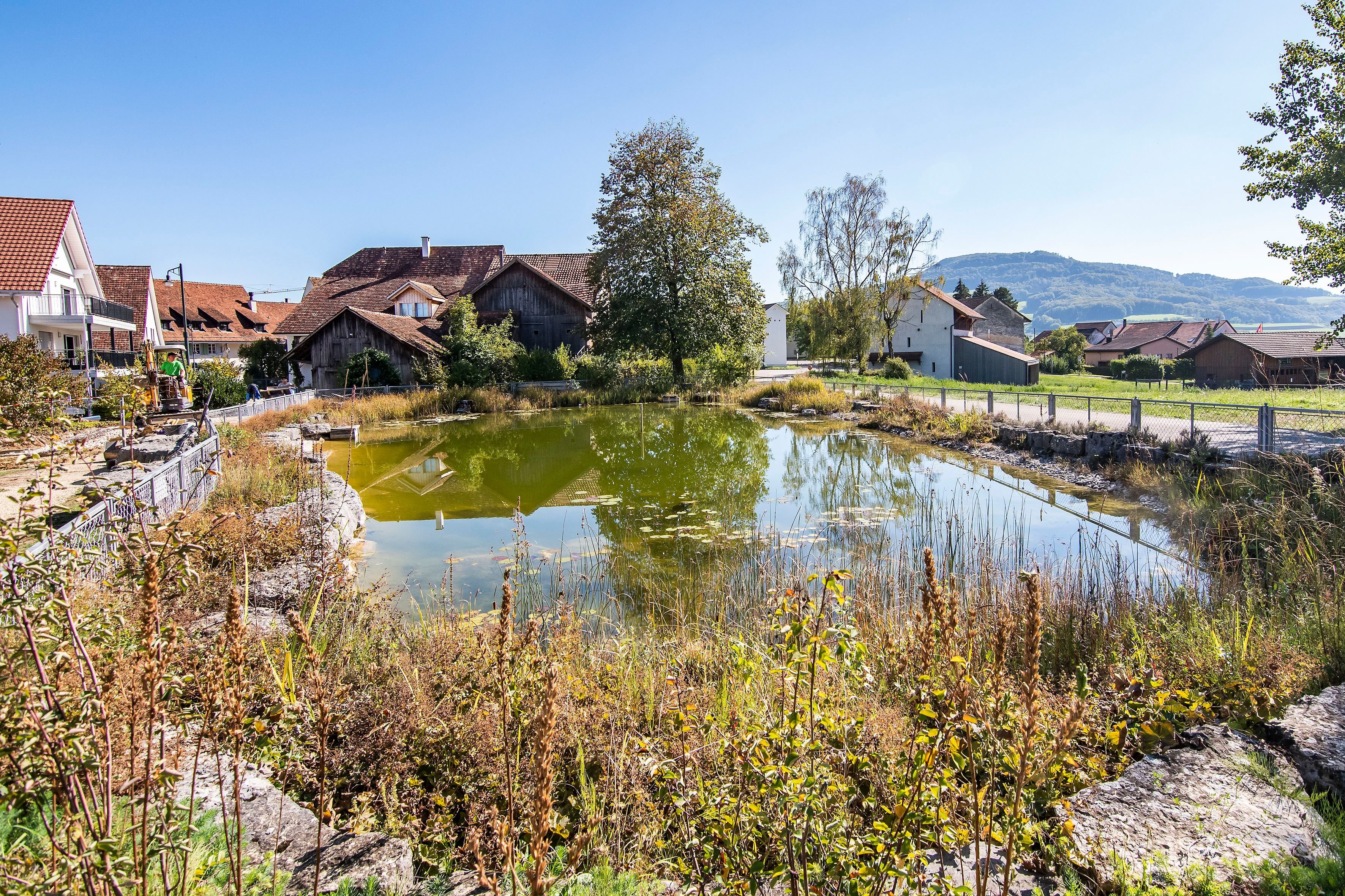 Ein-nicht-allt-gliches-Geschenk-f-r-R-nenberg