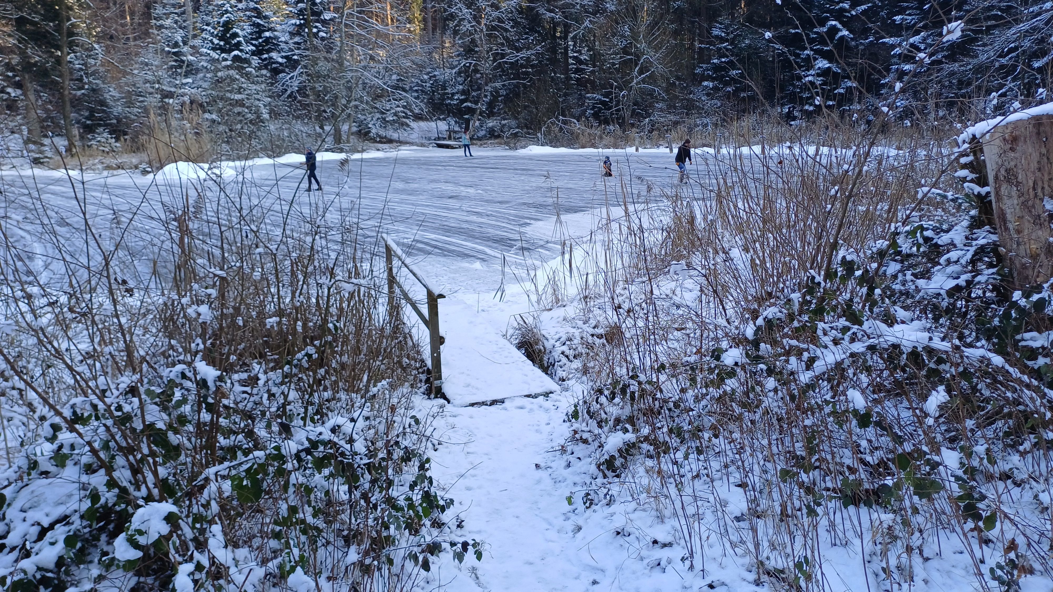 Aadorfer-Eisweiher-ist-f-rs-Schlittschuhfahren-freigegeben-das-gab-es-seit-zehn-Jahren-nicht-mehr