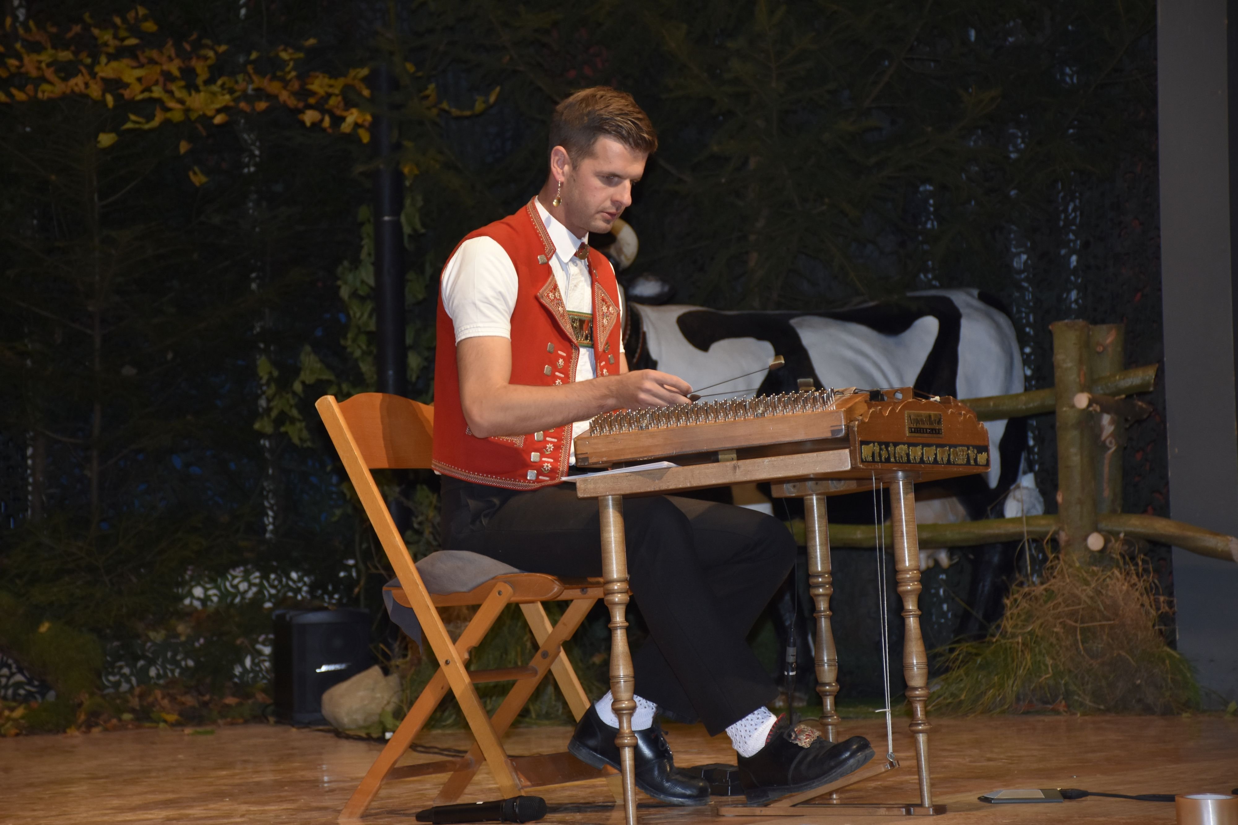 Hackbrettspieler-Nicolas-Senn-in-Gonten-Marco-Ronconi-in-Konstanz-Feministische-Kunst-bei-der-St-Galler-St-Leonhardsbr-cke