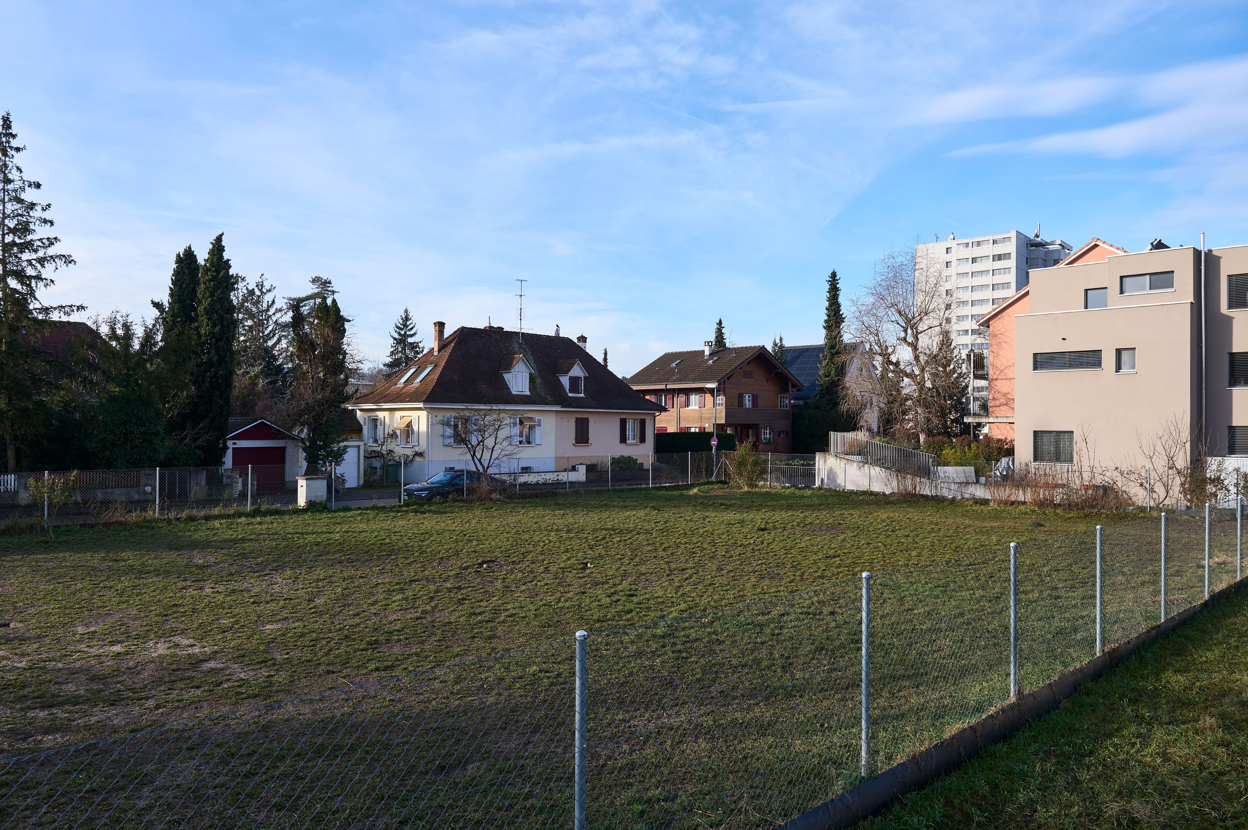 Aufregung-auf-Social-Media-Giftk-derpanik-im-Allschwiler-Hundepark